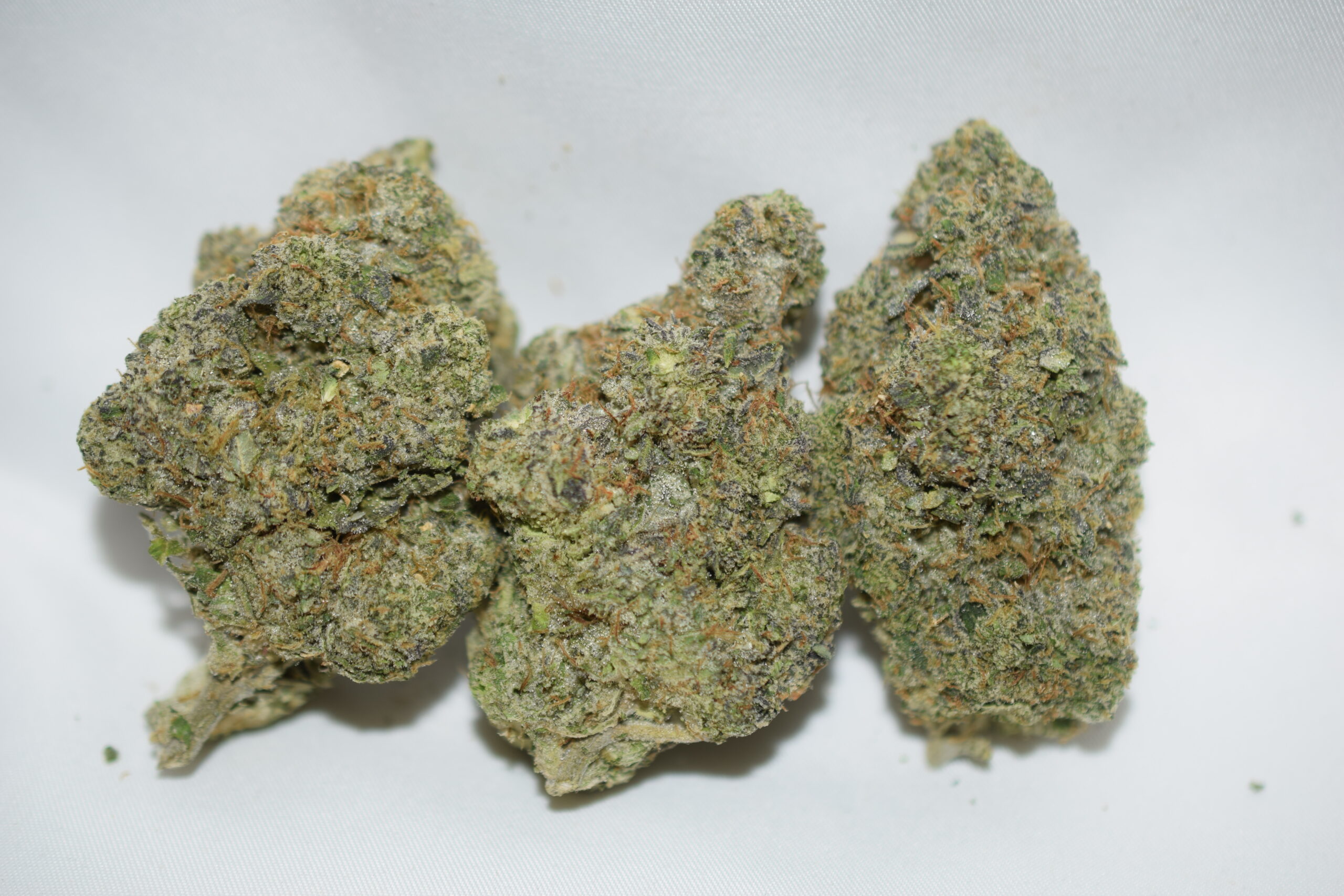 Blue Lobster Indica Dominant Hybrid AAAA+