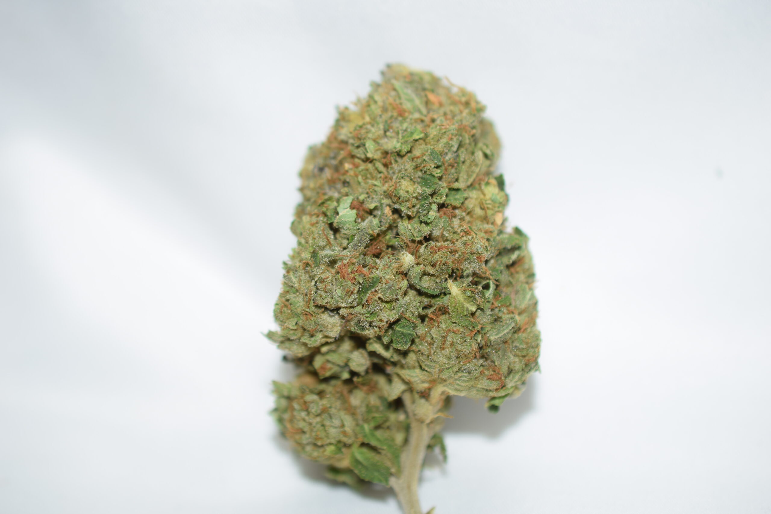Darth Vader Og Balanced Hybrid AAA