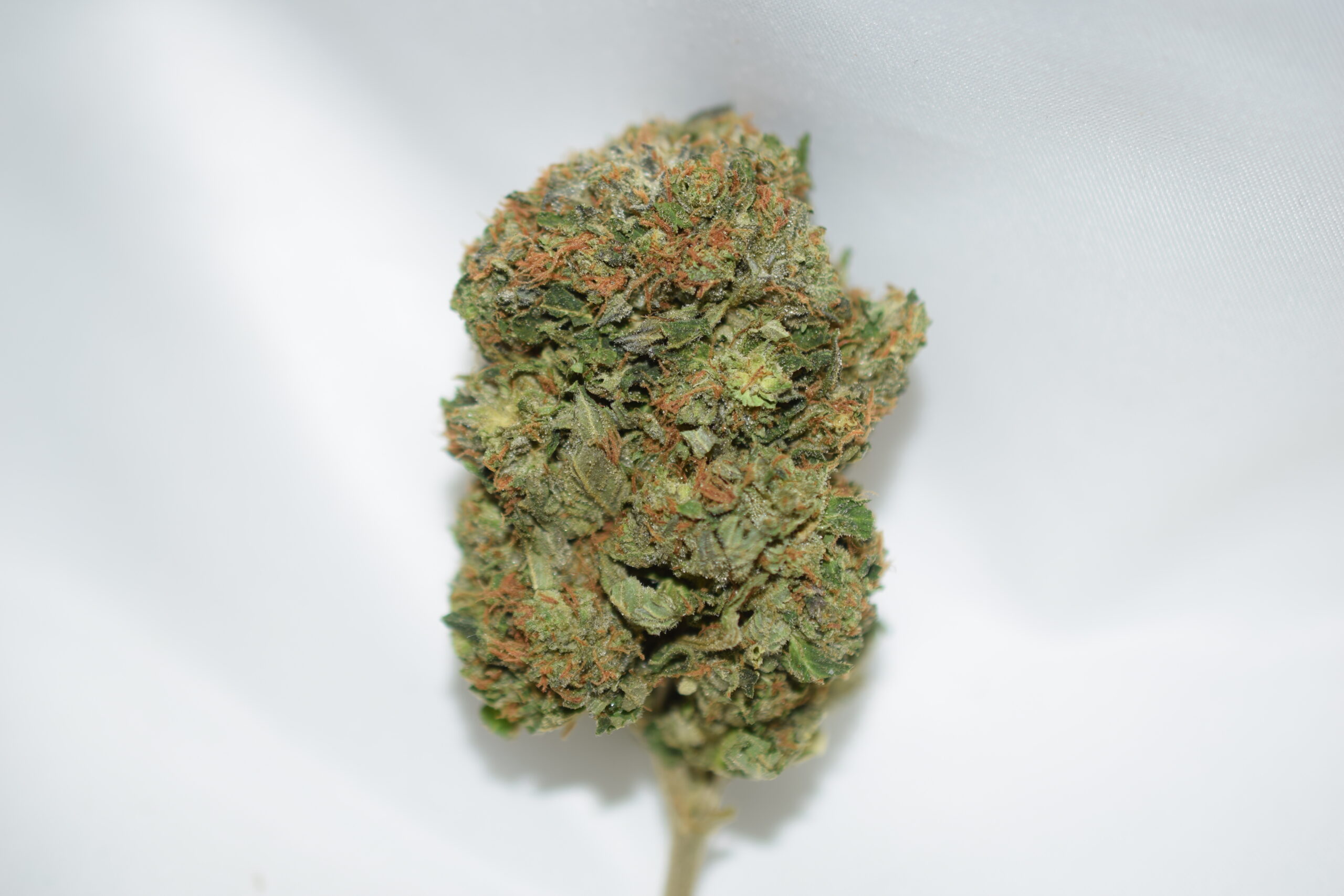 Gas Mask Indica Dominant Hybrid AAA