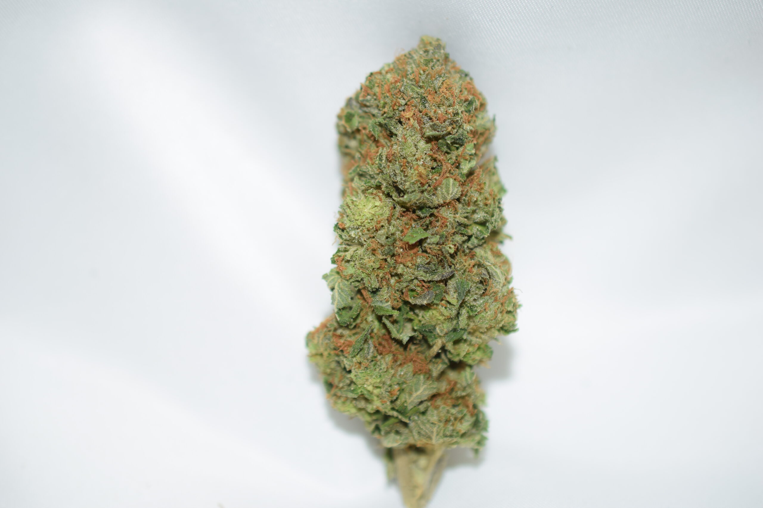 Gas Mask Indica Dominant Hybrid AAA