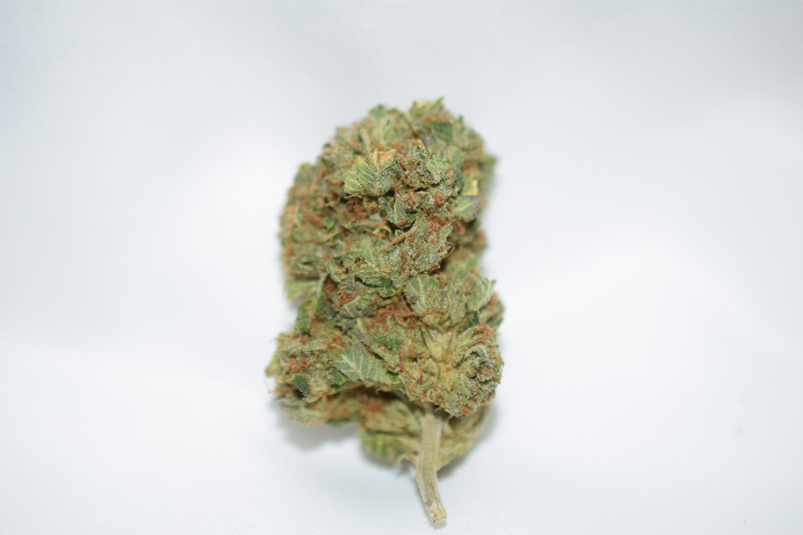 Gas Mask Indica Dominant Hybrid AAA