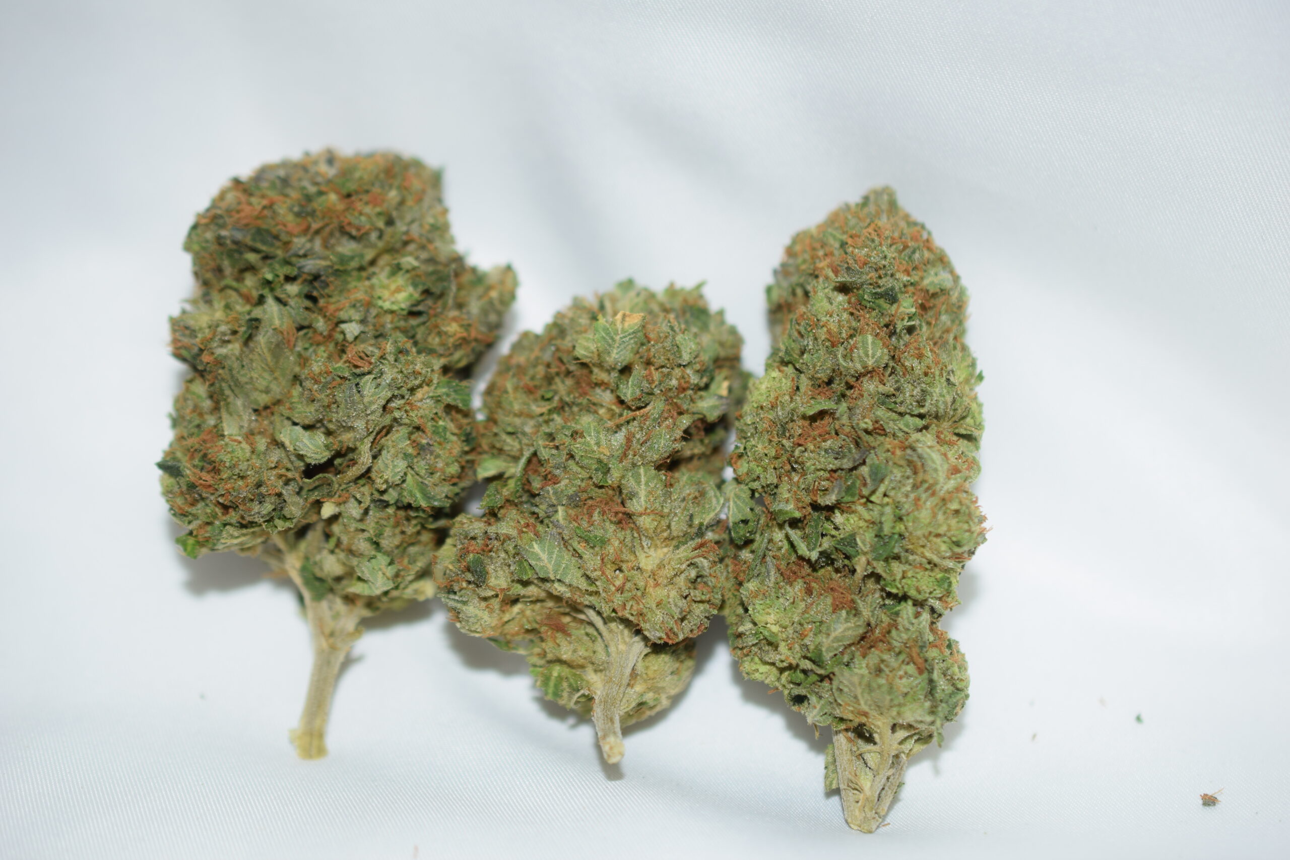 Gas Mask Indica Dominant Hybrid AAA
