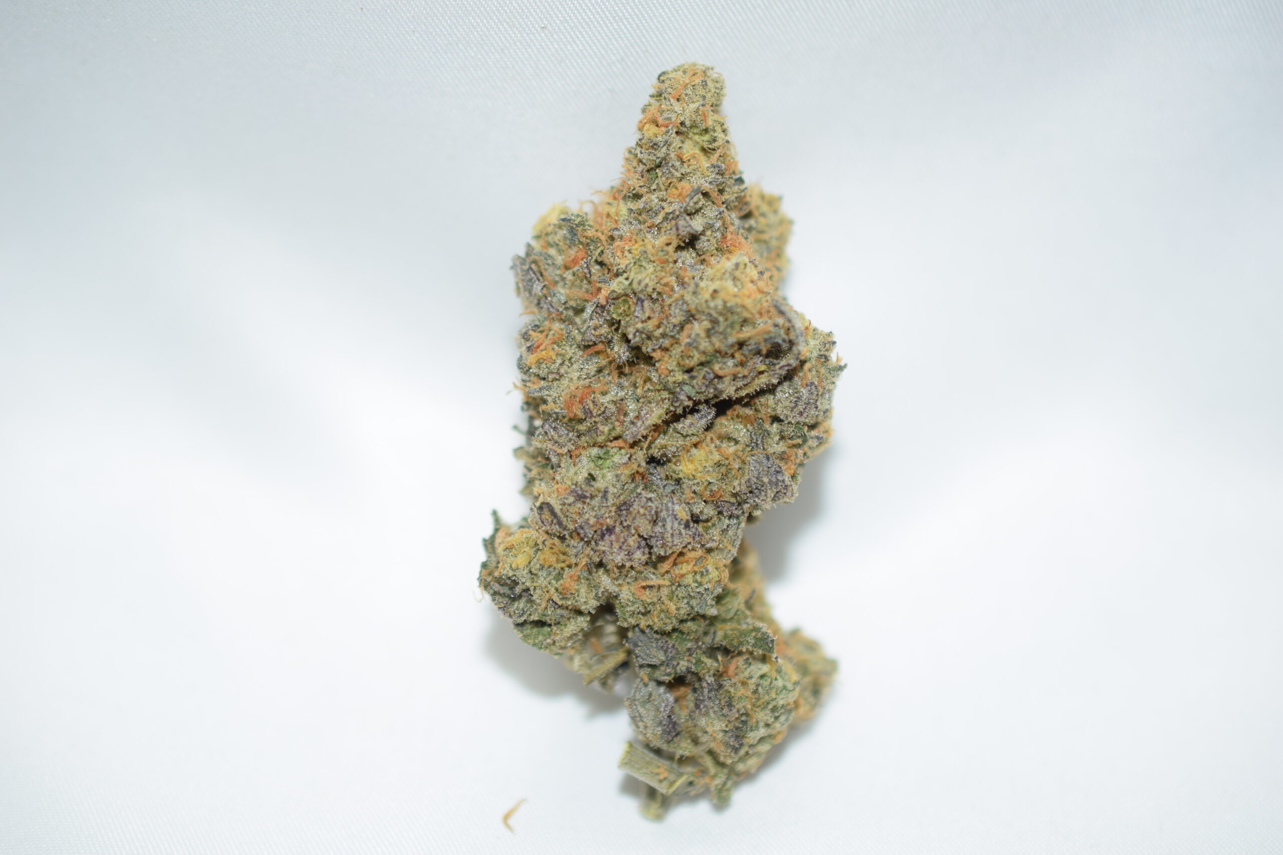 High Octane Indica Dominant Hybrid AAA+