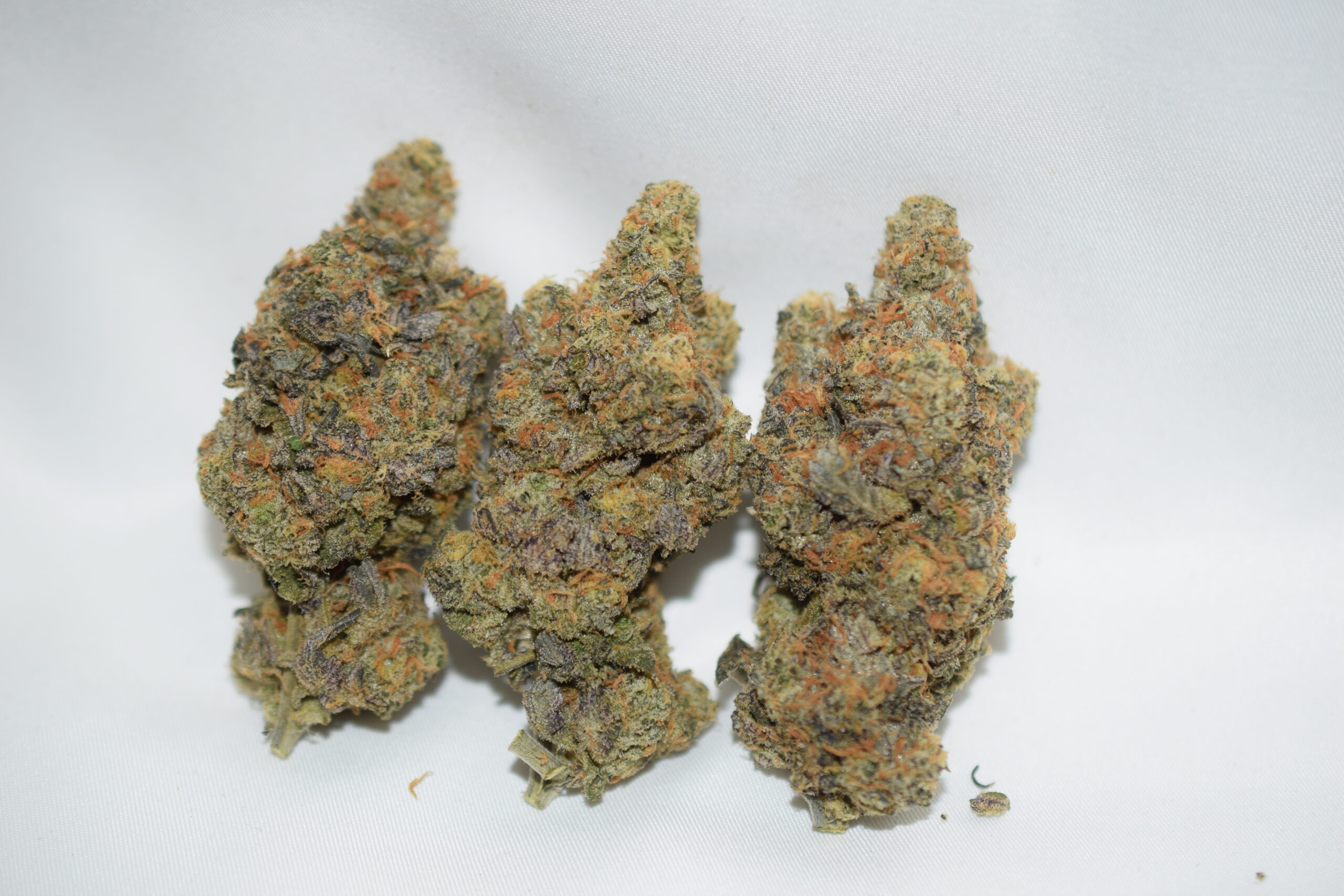 High Octane Indica Dominant Hybrid AAA+