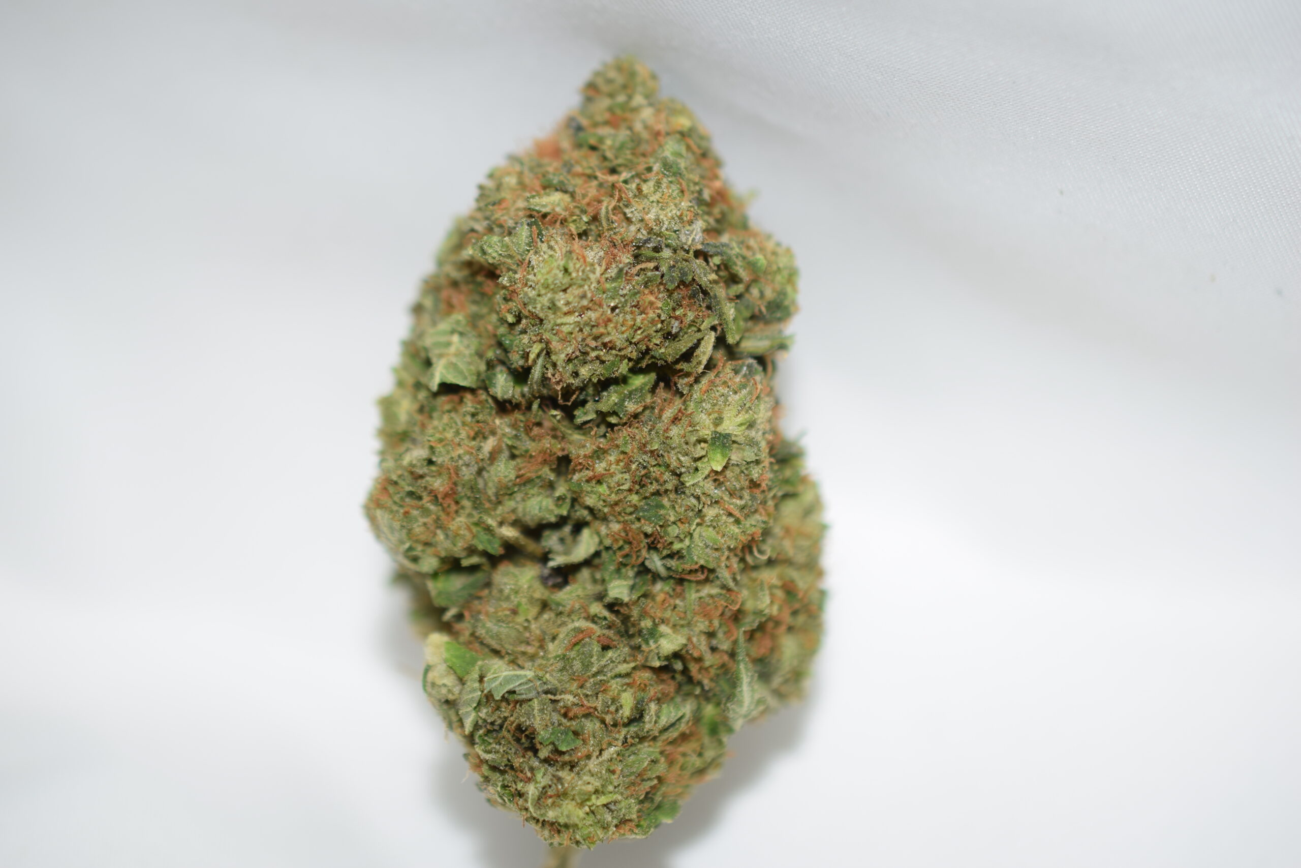 Jedi Kush Indica Dominant Hybrid AAA