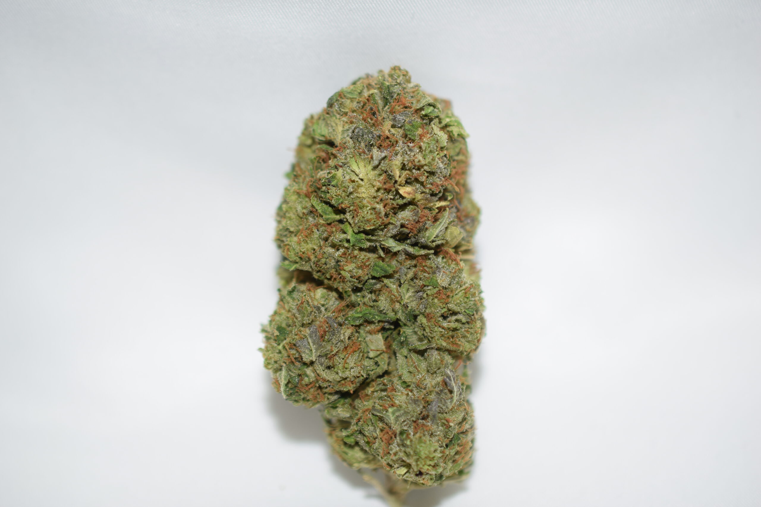 Jedi Kush Indica Dominant Hybrid AAA