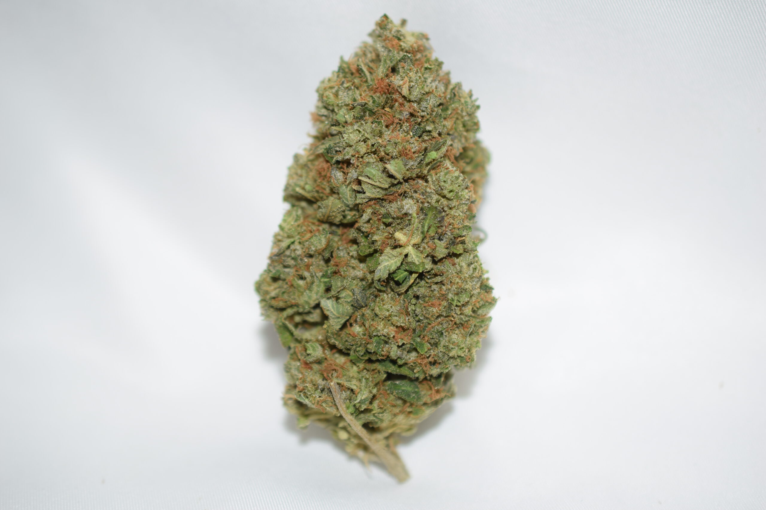 Jedi Kush Indica Dominant Hybrid AAA