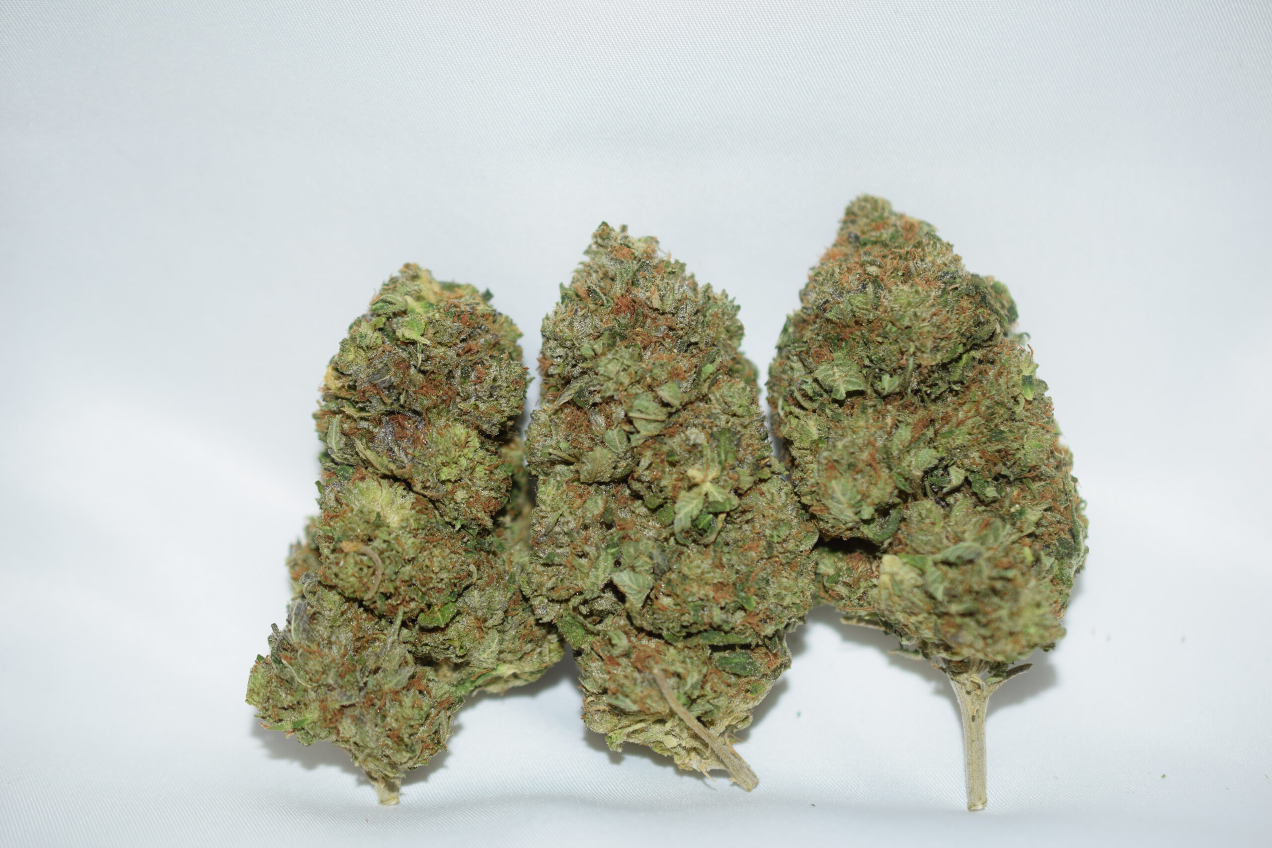 Jedi Kush Indica Dominant Hybrid AAA