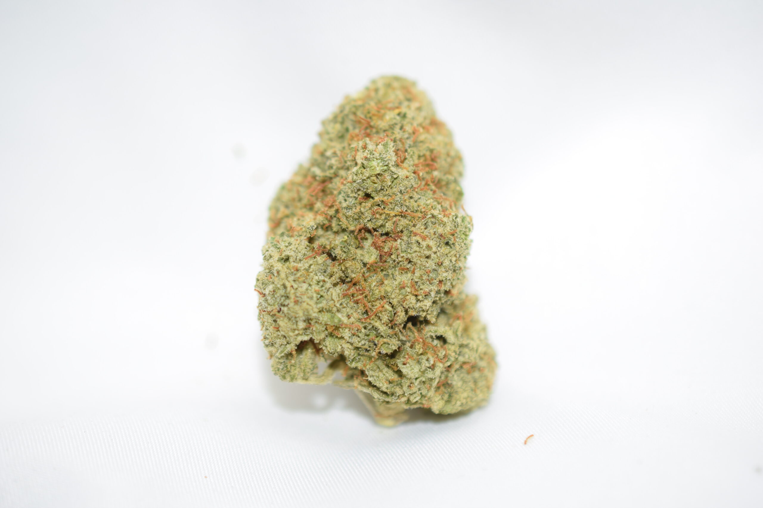 Limoncello Sativa Dominant Hybrid AAA