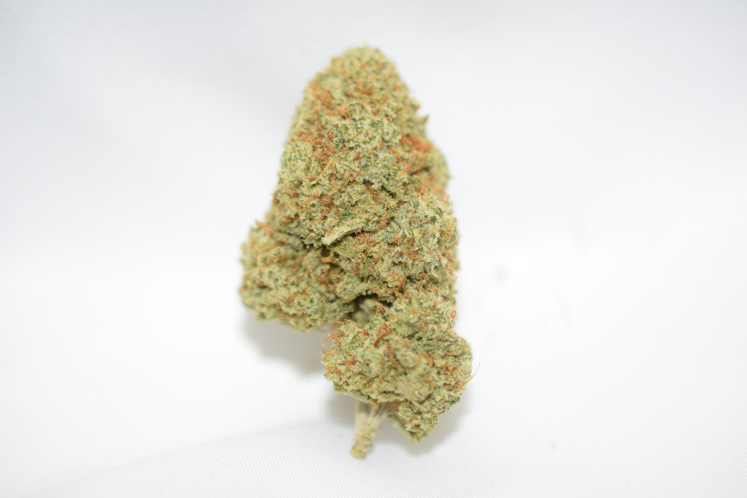 Limoncello Sativa Dominant Hybrid AAA
