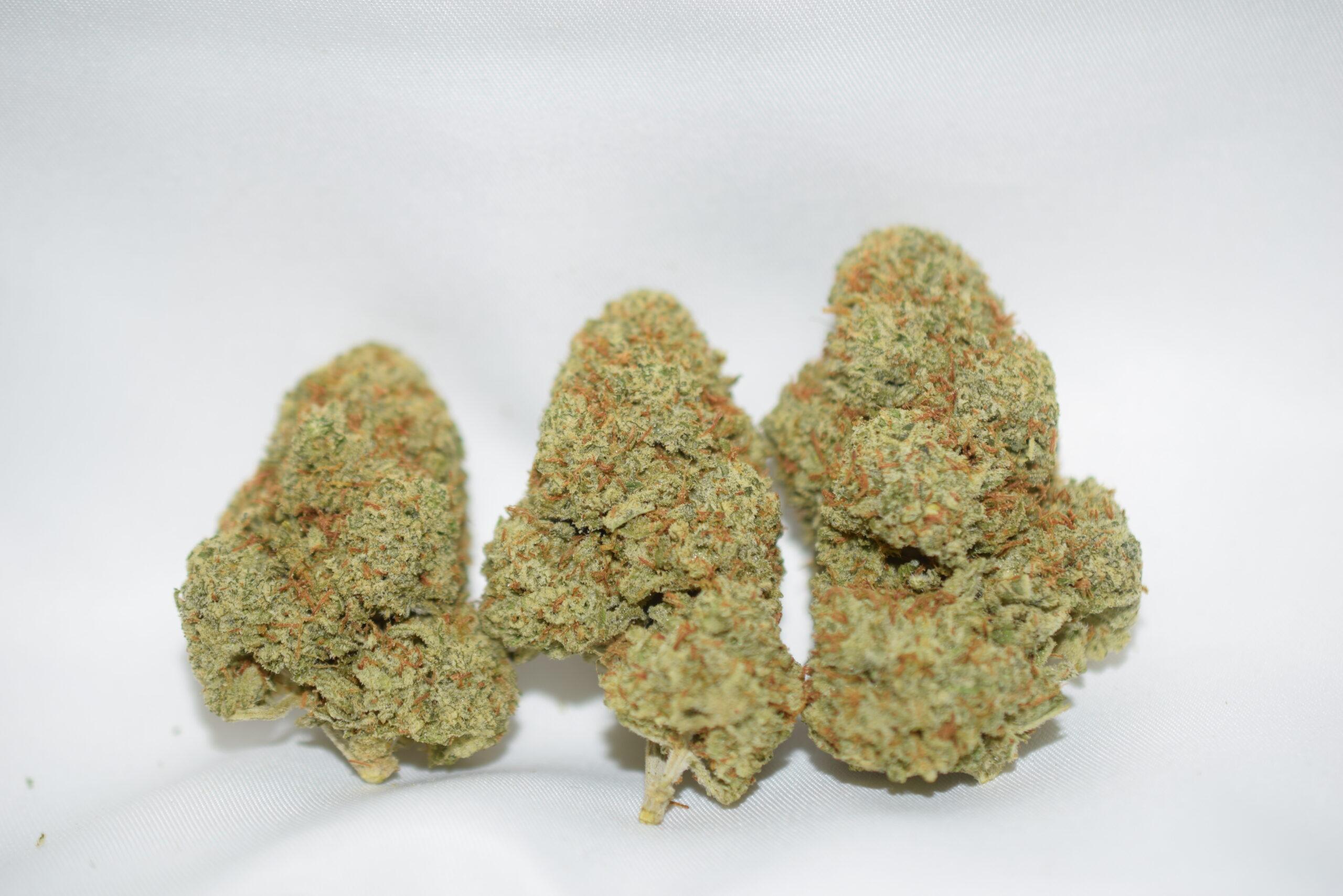 Limoncello Sativa Dominant Hybrid AAA
