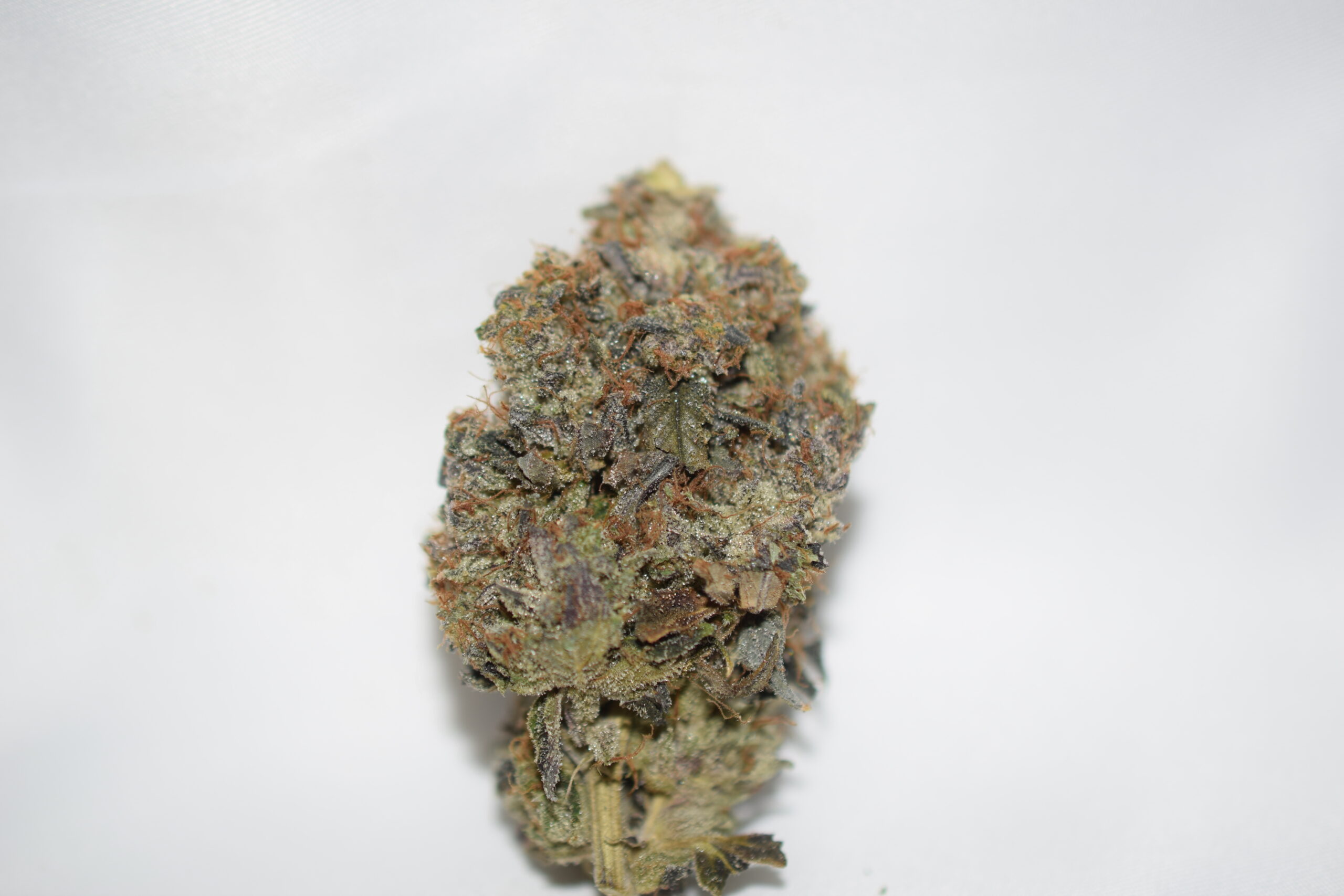 Blackfin Tuna Kush Indica Dominant hybrid AAAA+