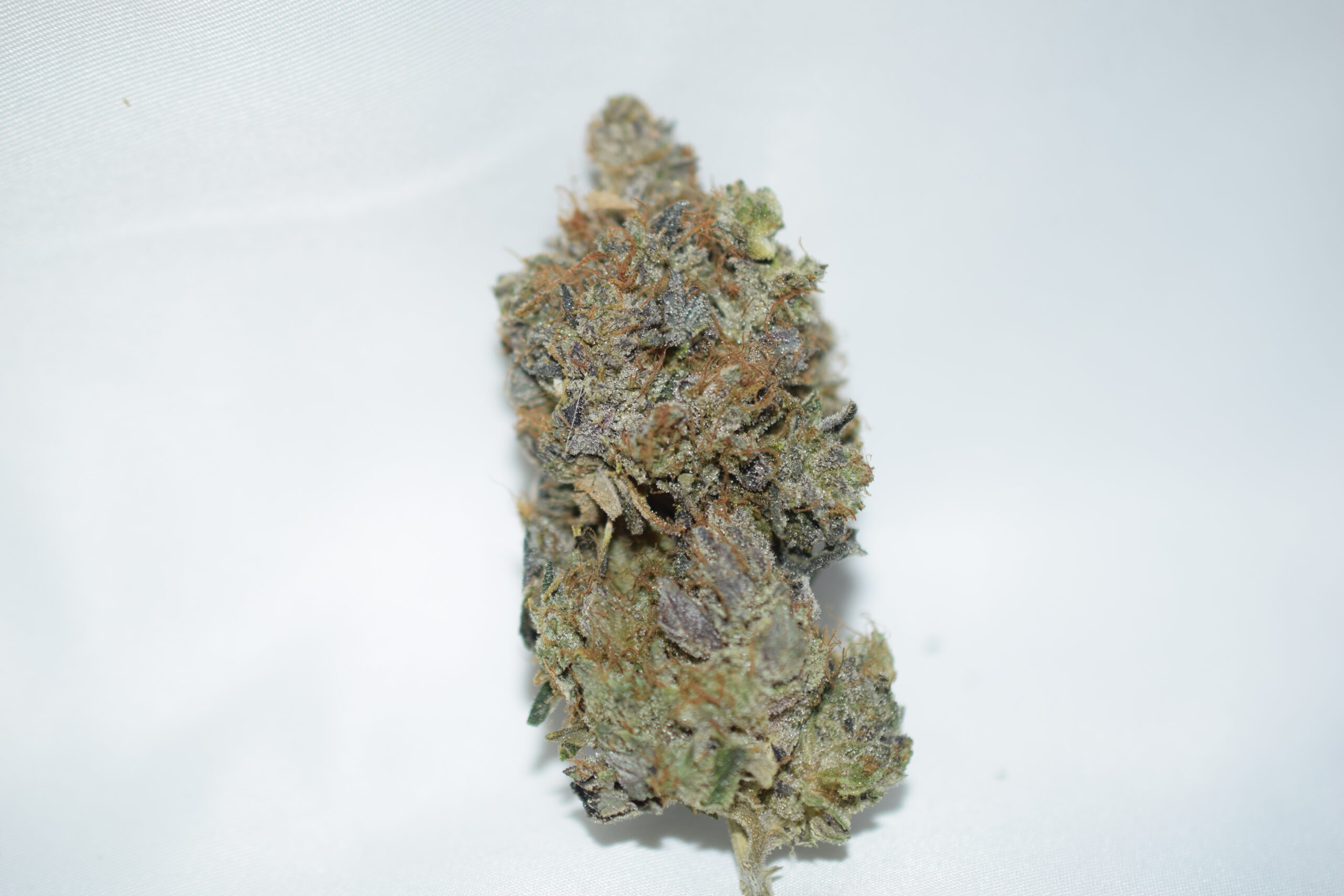 Blackfin Tuna Kush Indica Dominant hybrid AAAA+