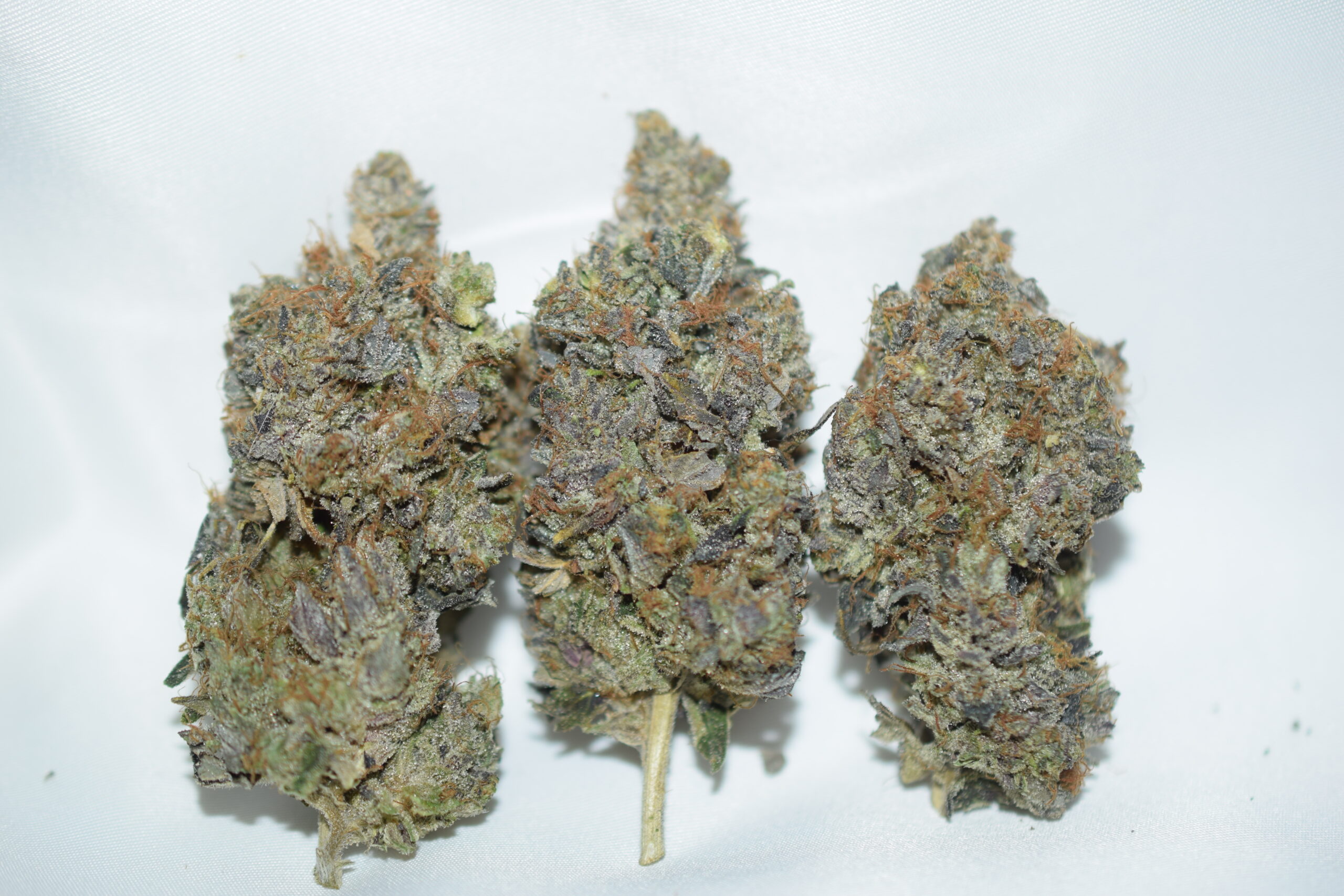 Blackfin Tuna Kush Indica Dominant hybrid AAAA+
