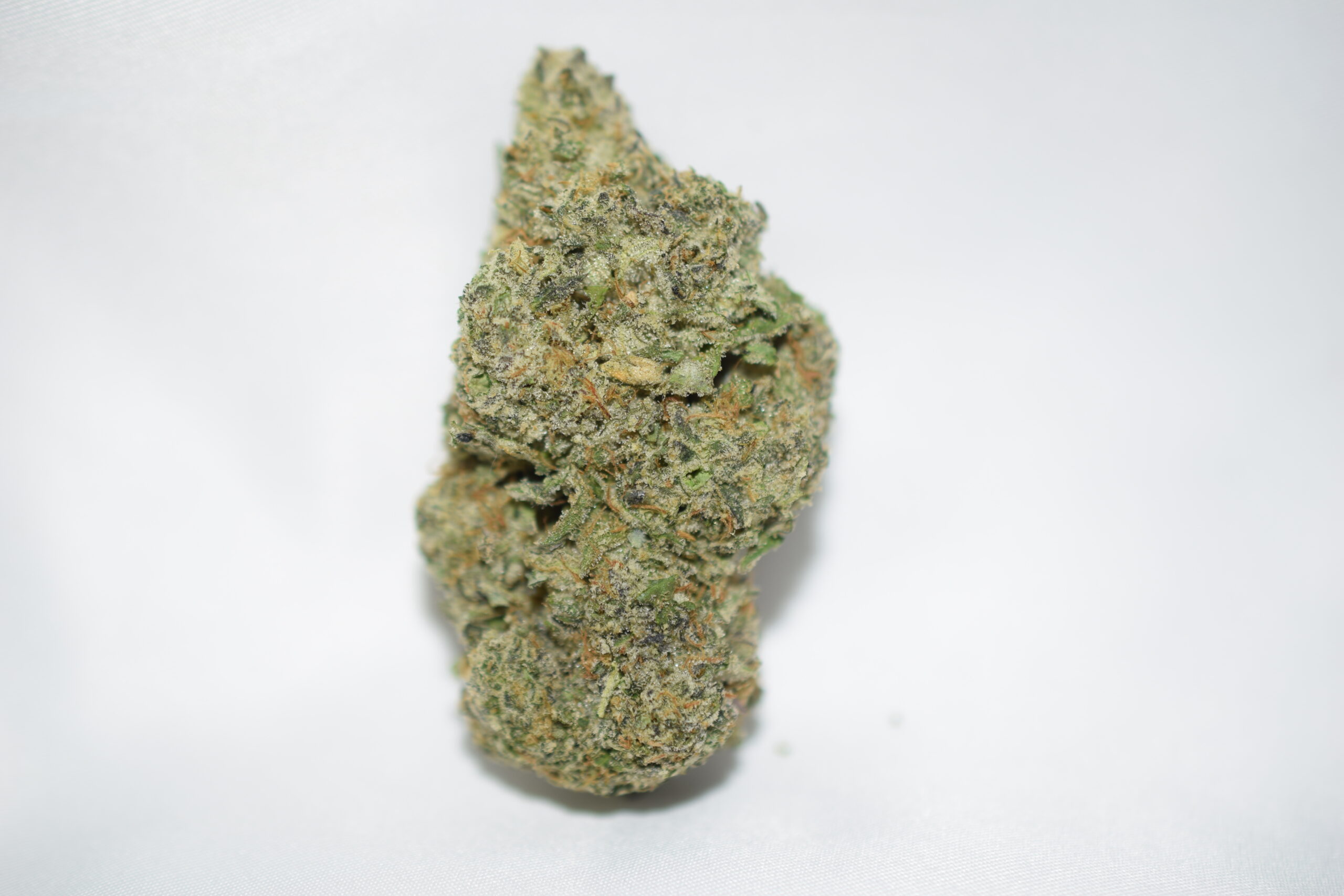 Galactic Jack Sativa Dominant Hybrid AAAA+