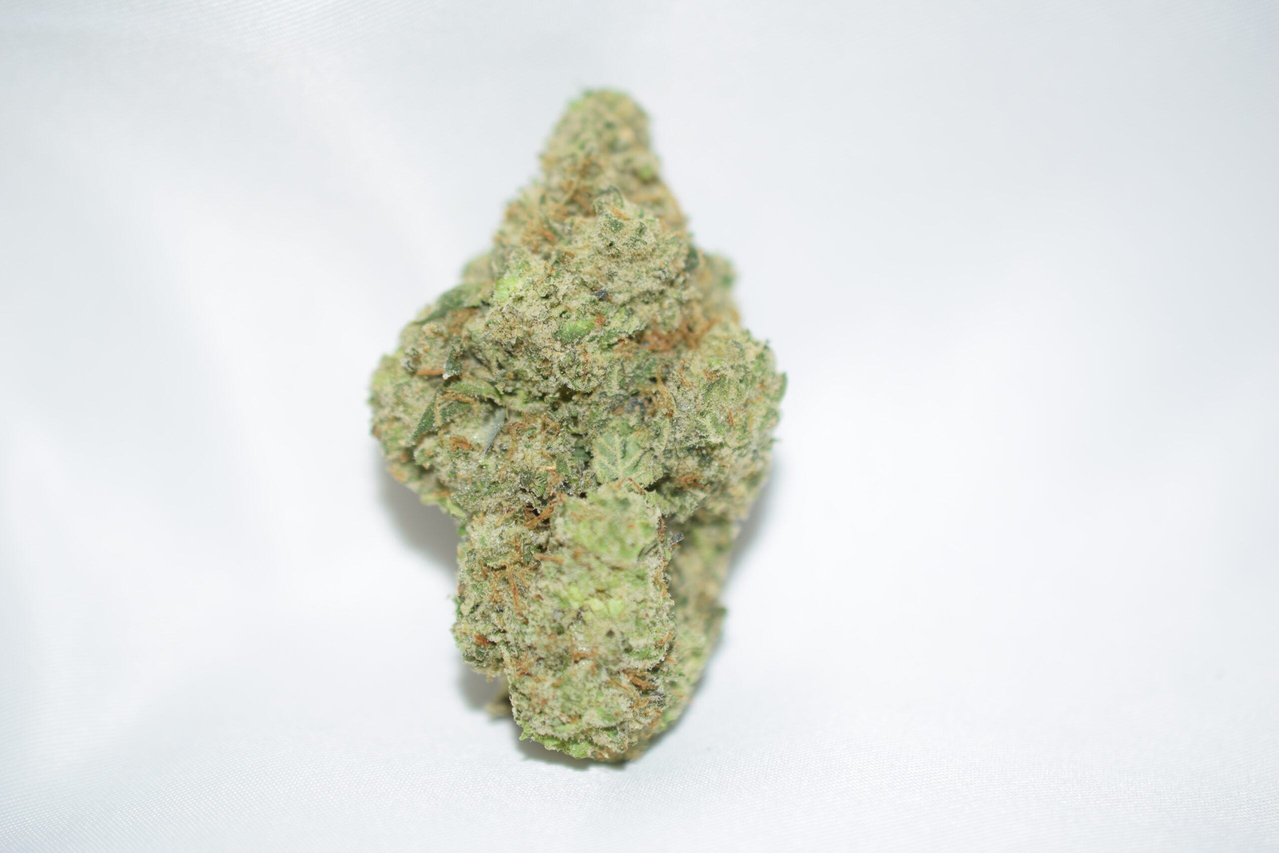 Galactic Jack Sativa Dominant Hybrid AAAA+