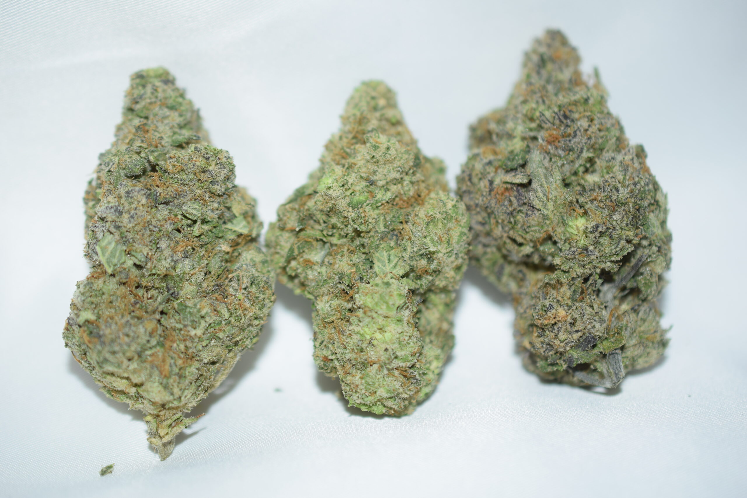 Galactic Jack Sativa Dominant Hybrid AAAA+