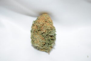 Jack Haze Sativa Dominant Hybrid AAA