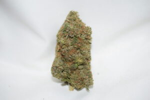 Mike Tyson Indica AAAA