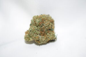 Pluto Indica Dominant Hybrid AAA