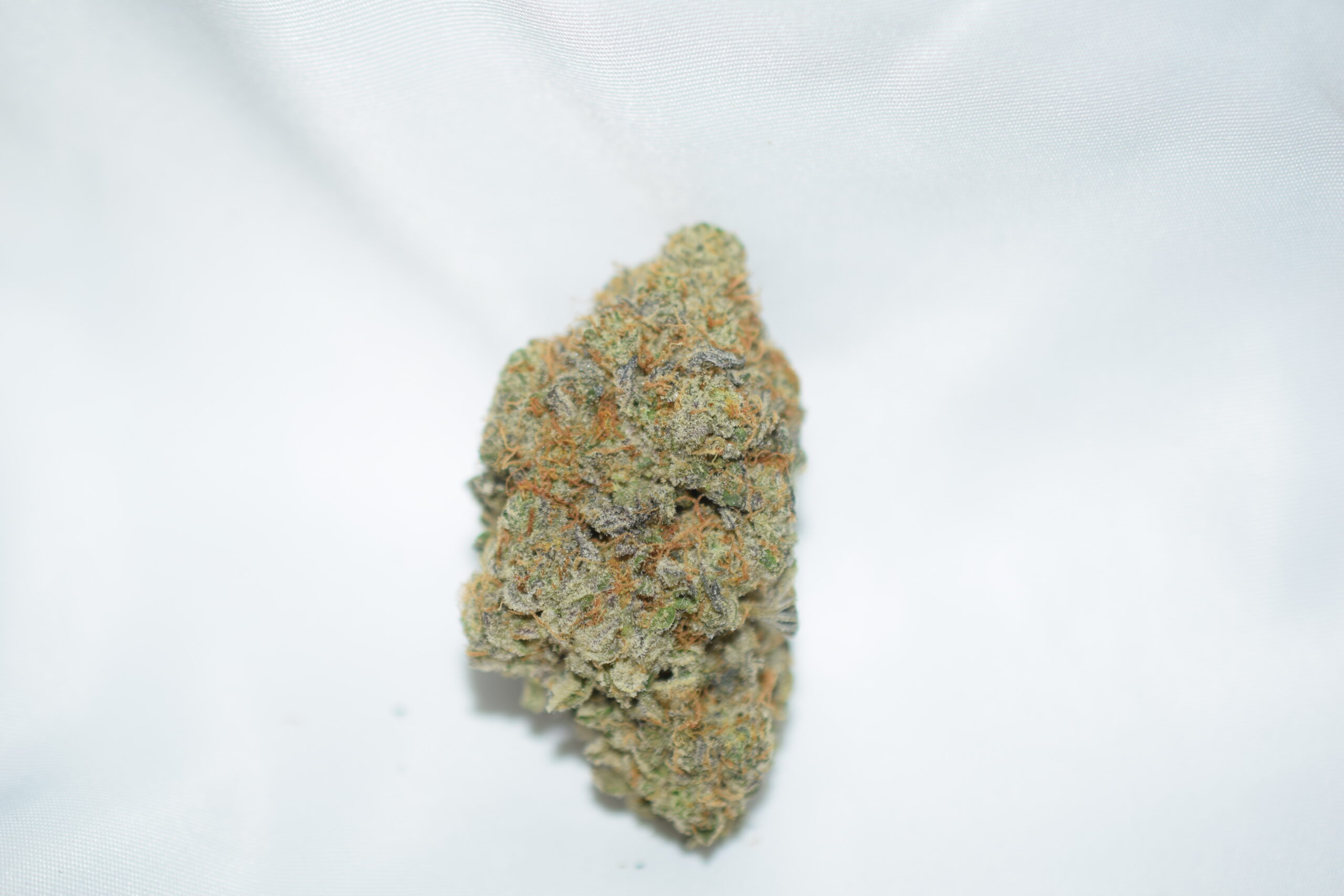 Gorilla Glue #4 Indica Dominant Hybrid AAAA