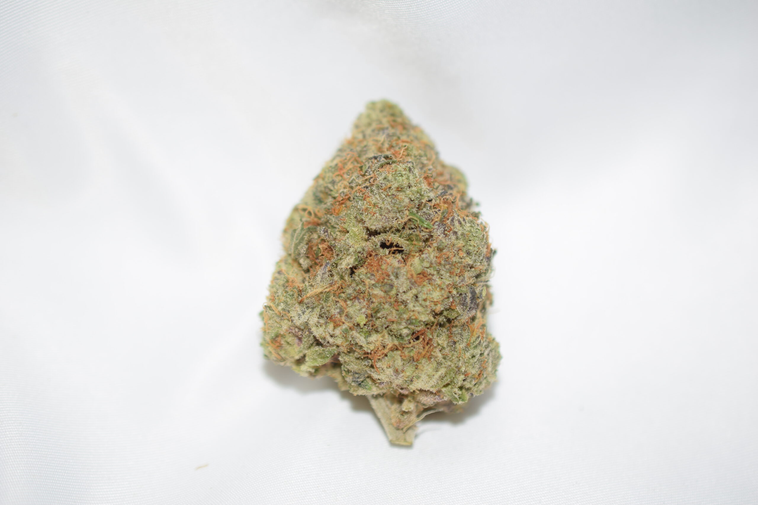 Gorilla Glue #4 Indica Dominant Hybrid AAAA