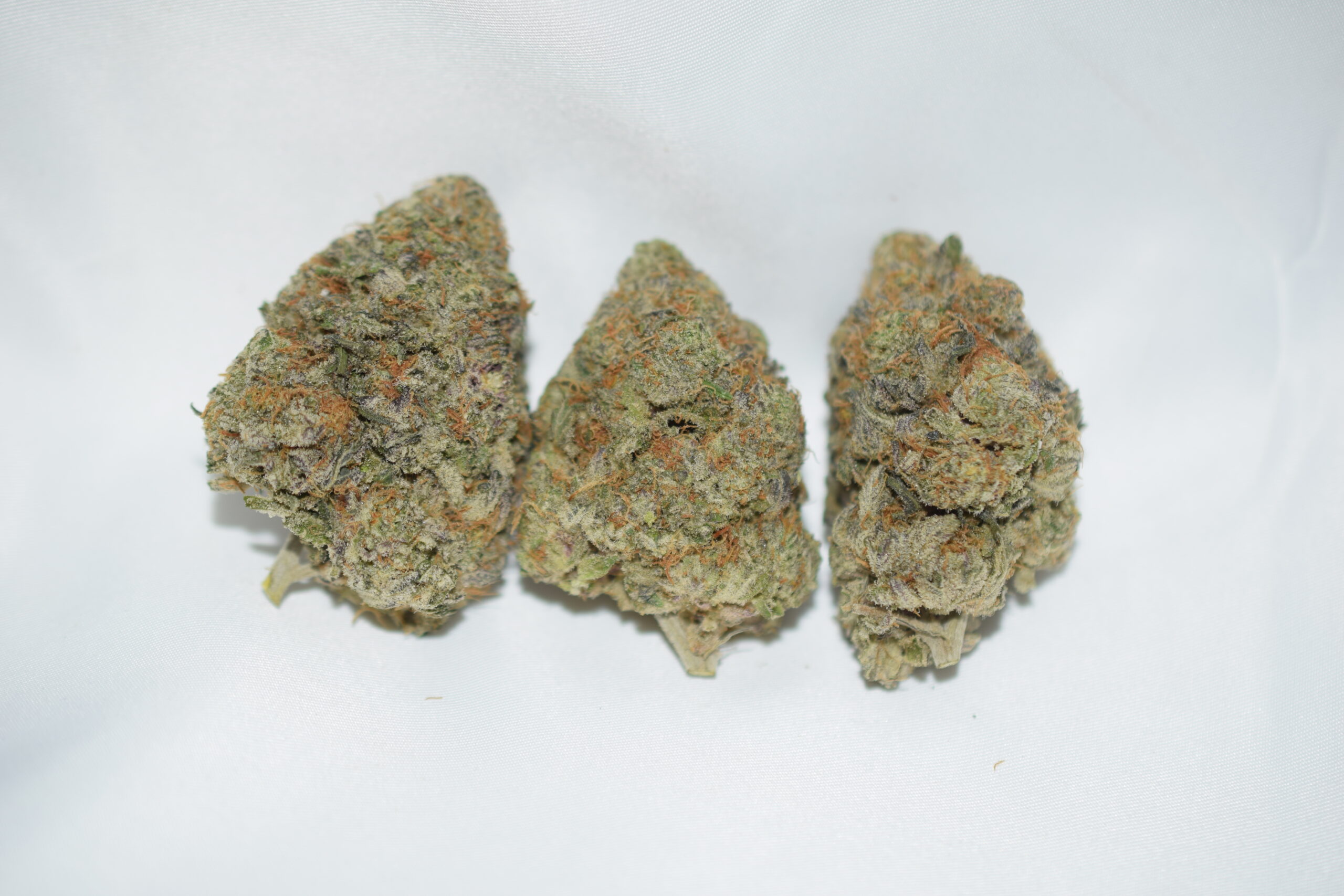 Gorilla Glue #4 Indica Dominant Hybrid AAAA