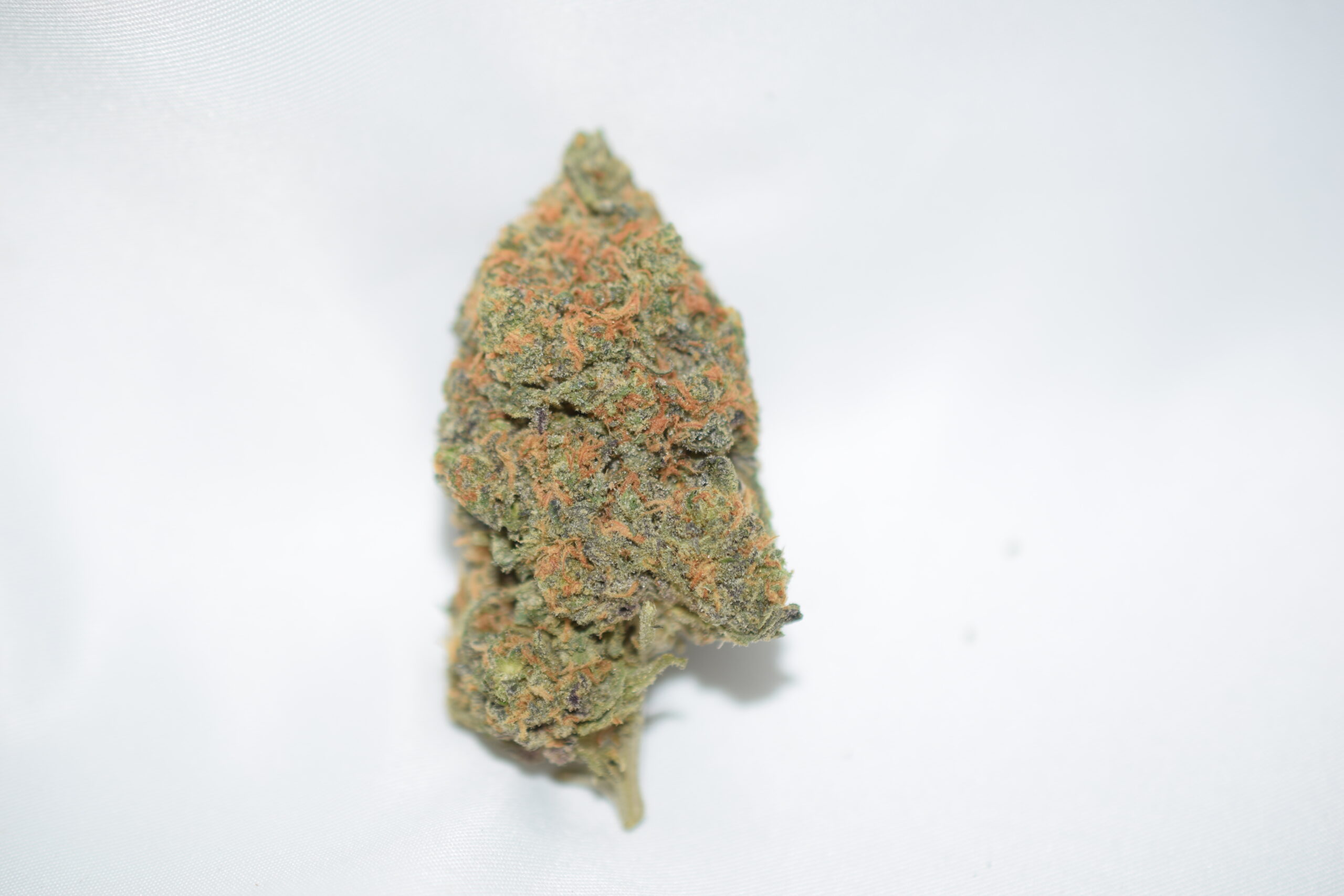 Mike Tyson Indica AAAA