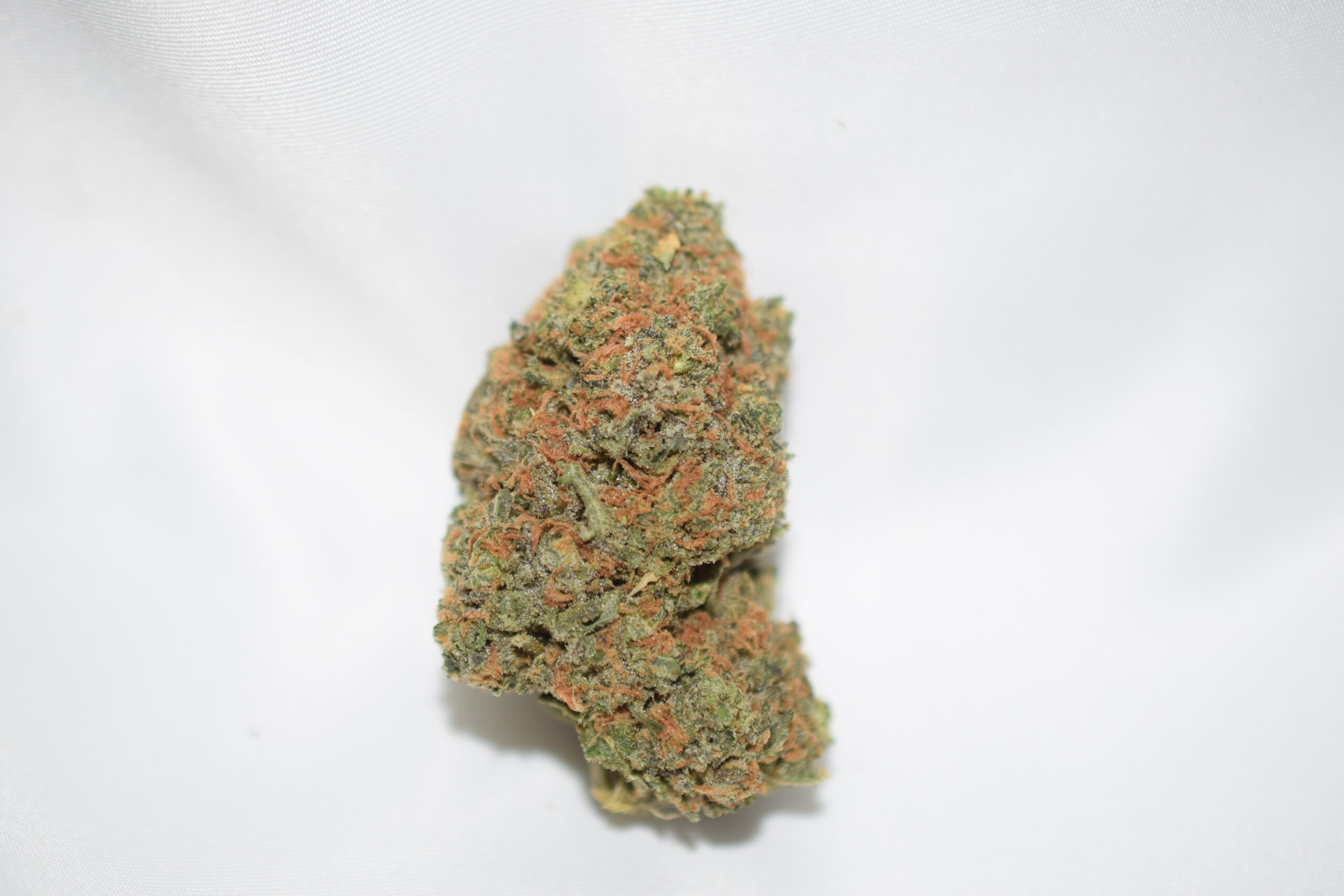 Mike Tyson Indica AAAA