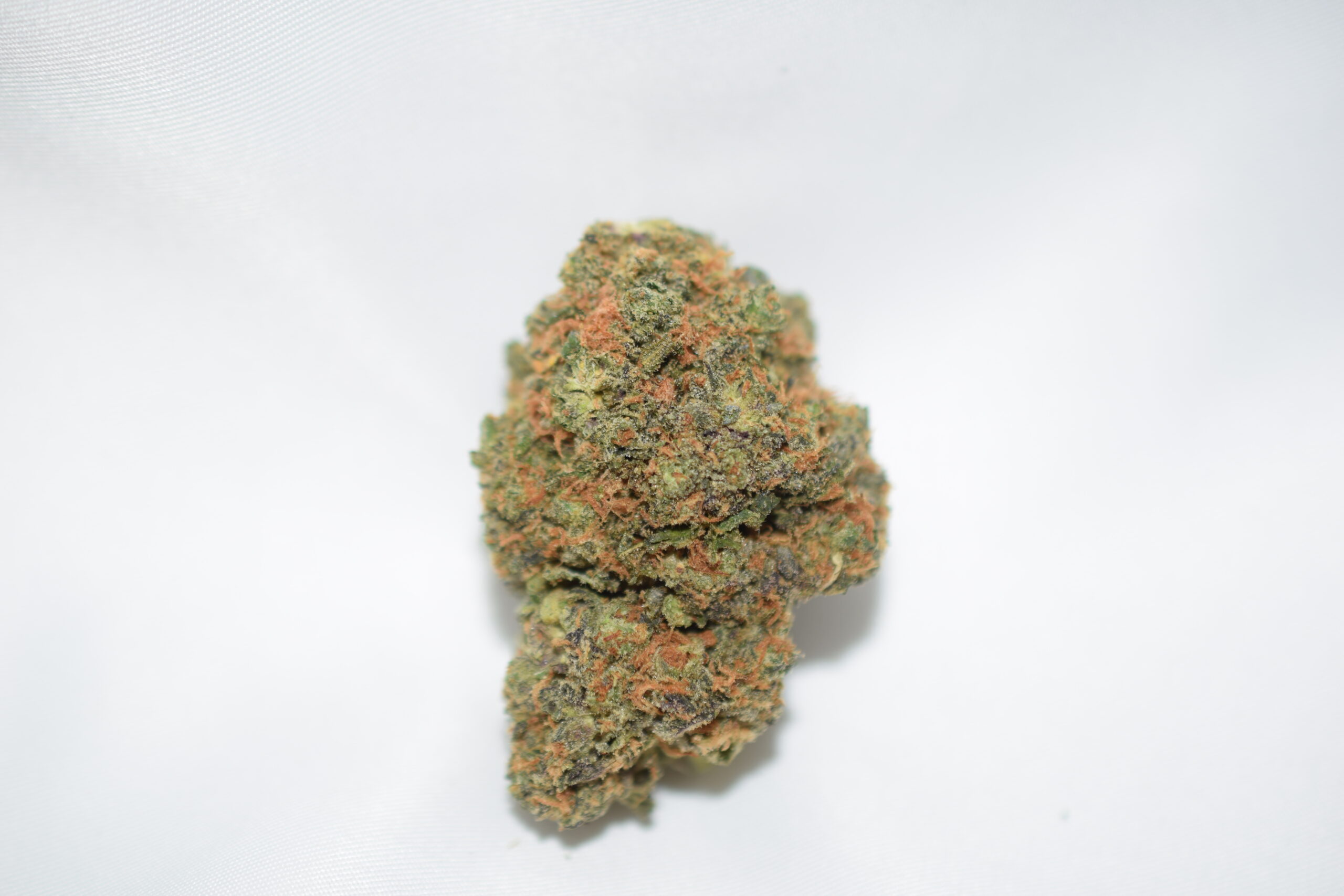 Mike Tyson Indica AAAA