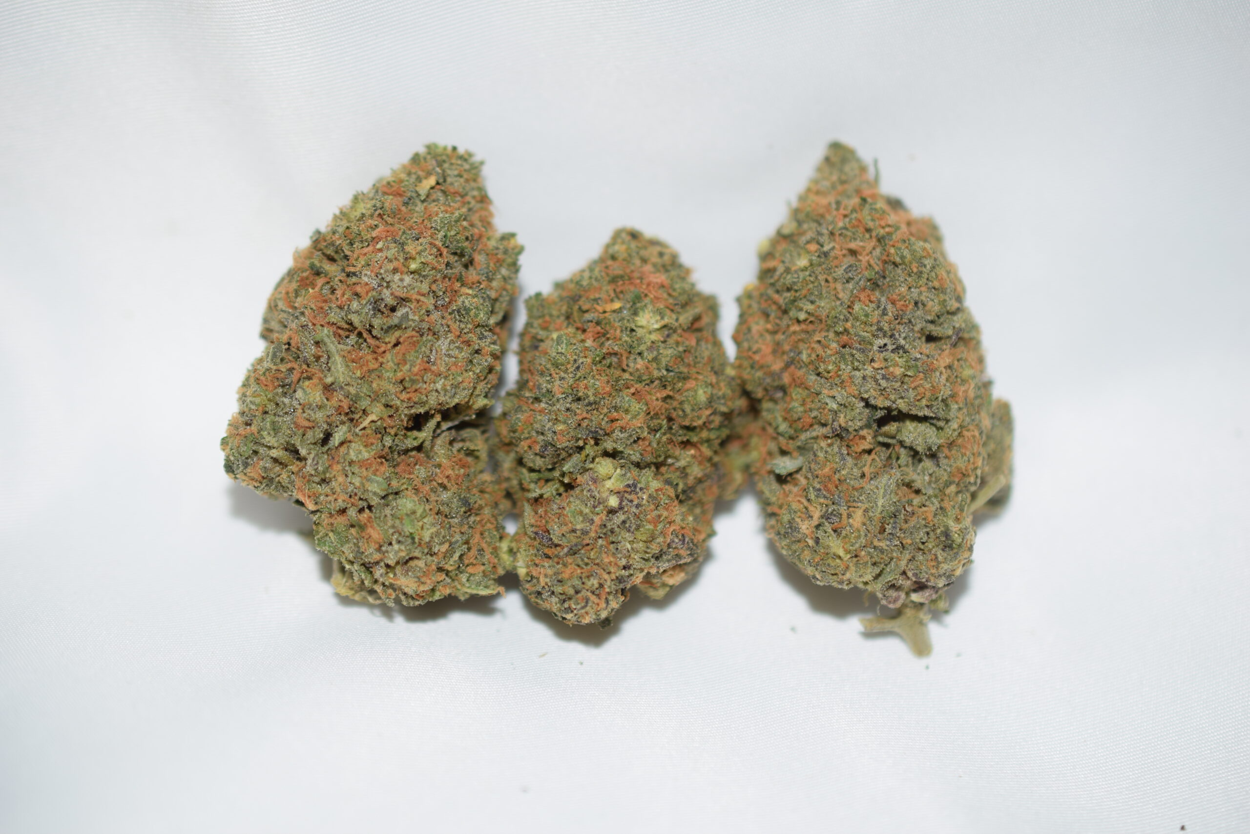 Mike Tyson Indica AAAA