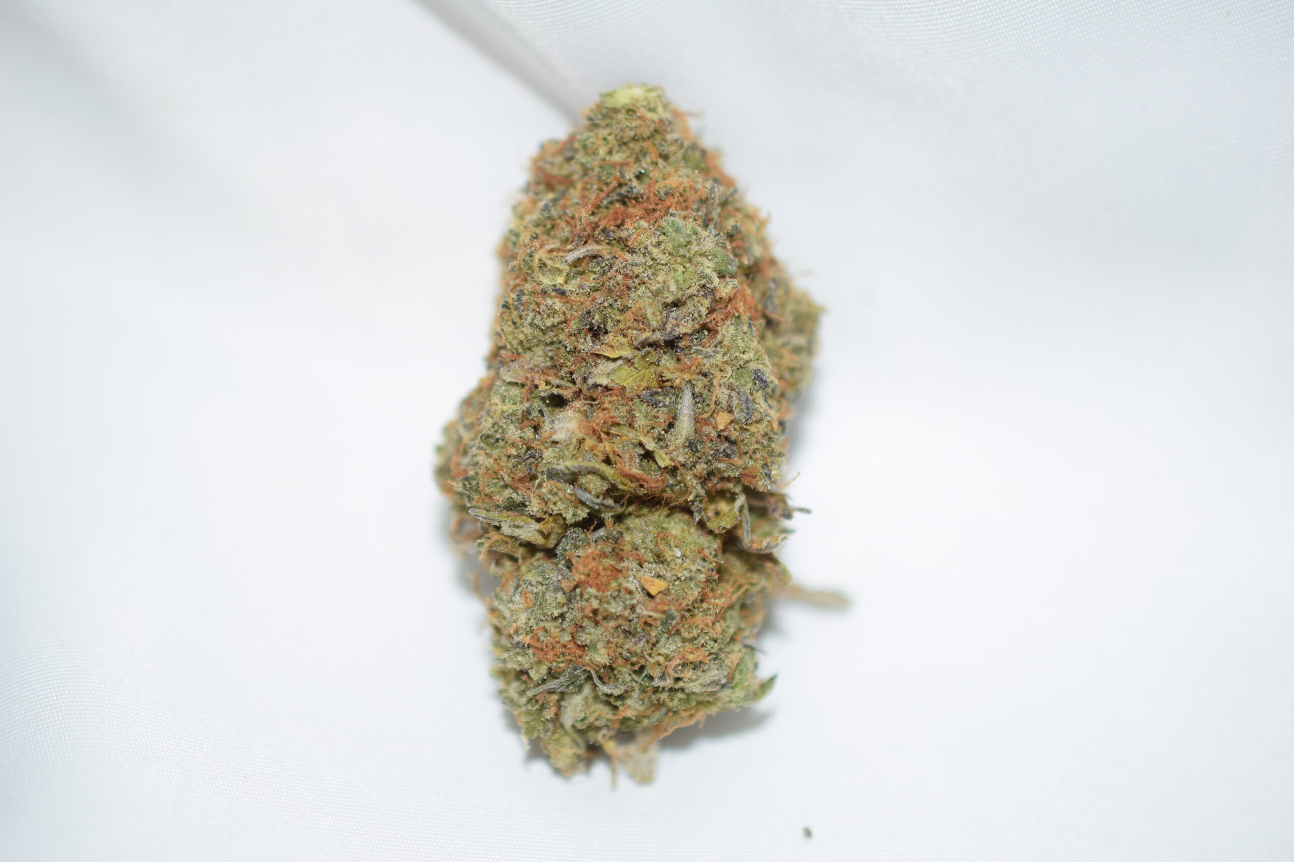 Pink Muerte Indica Dominant Hybrid AAAA