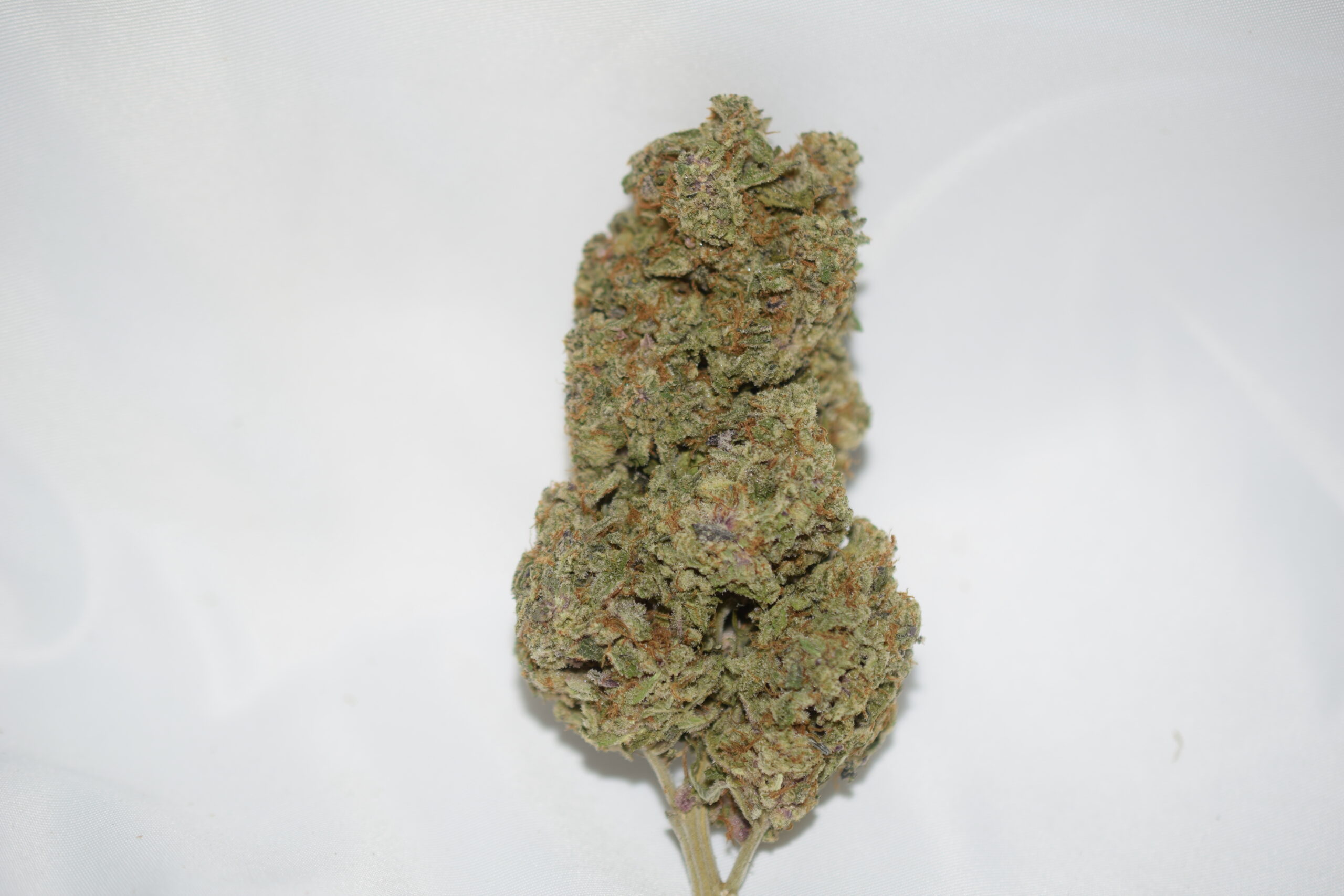 Purple Punch Indica Dominant Hybrid AAA+