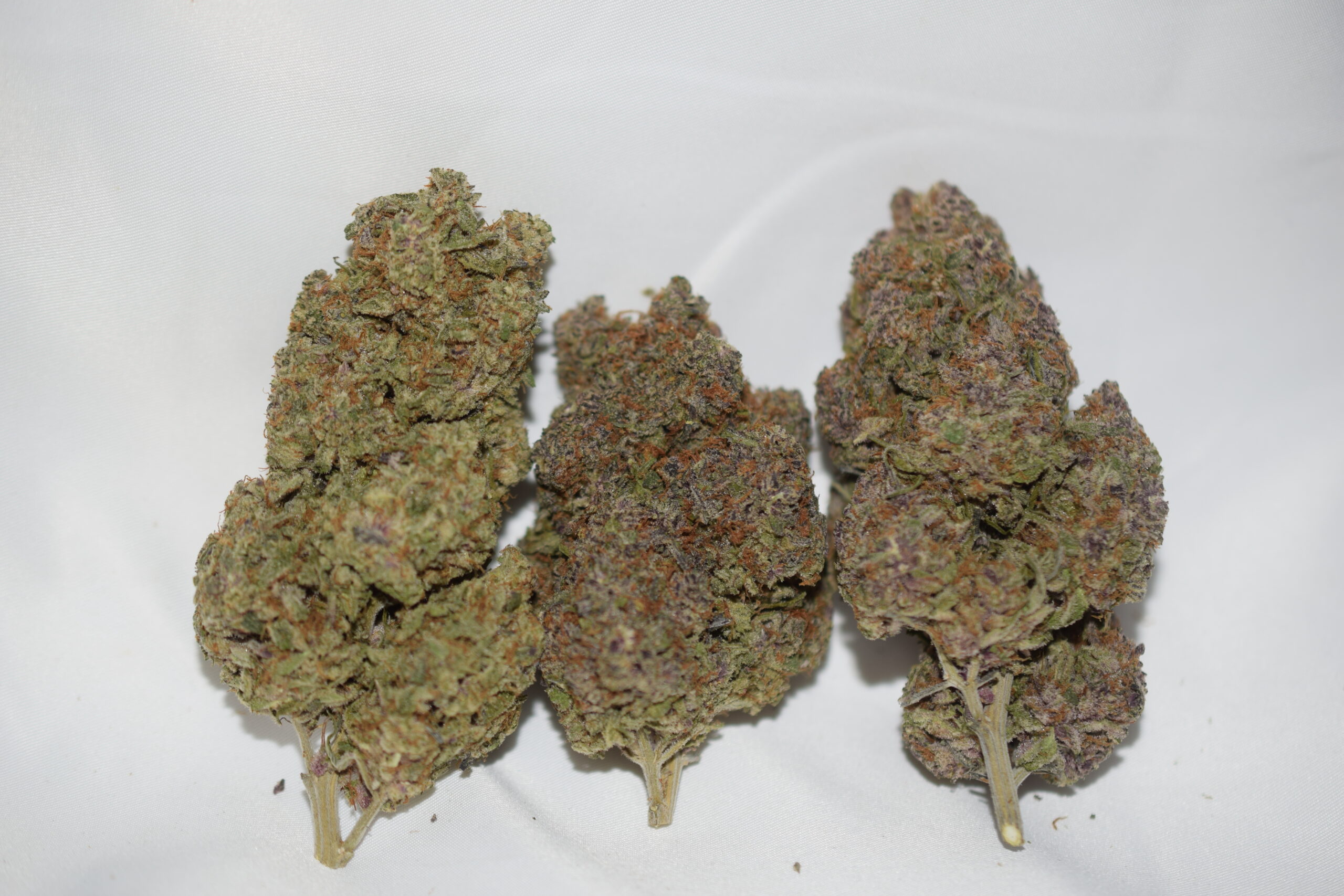 Purple Punch Indica Dominant Hybrid AAA+