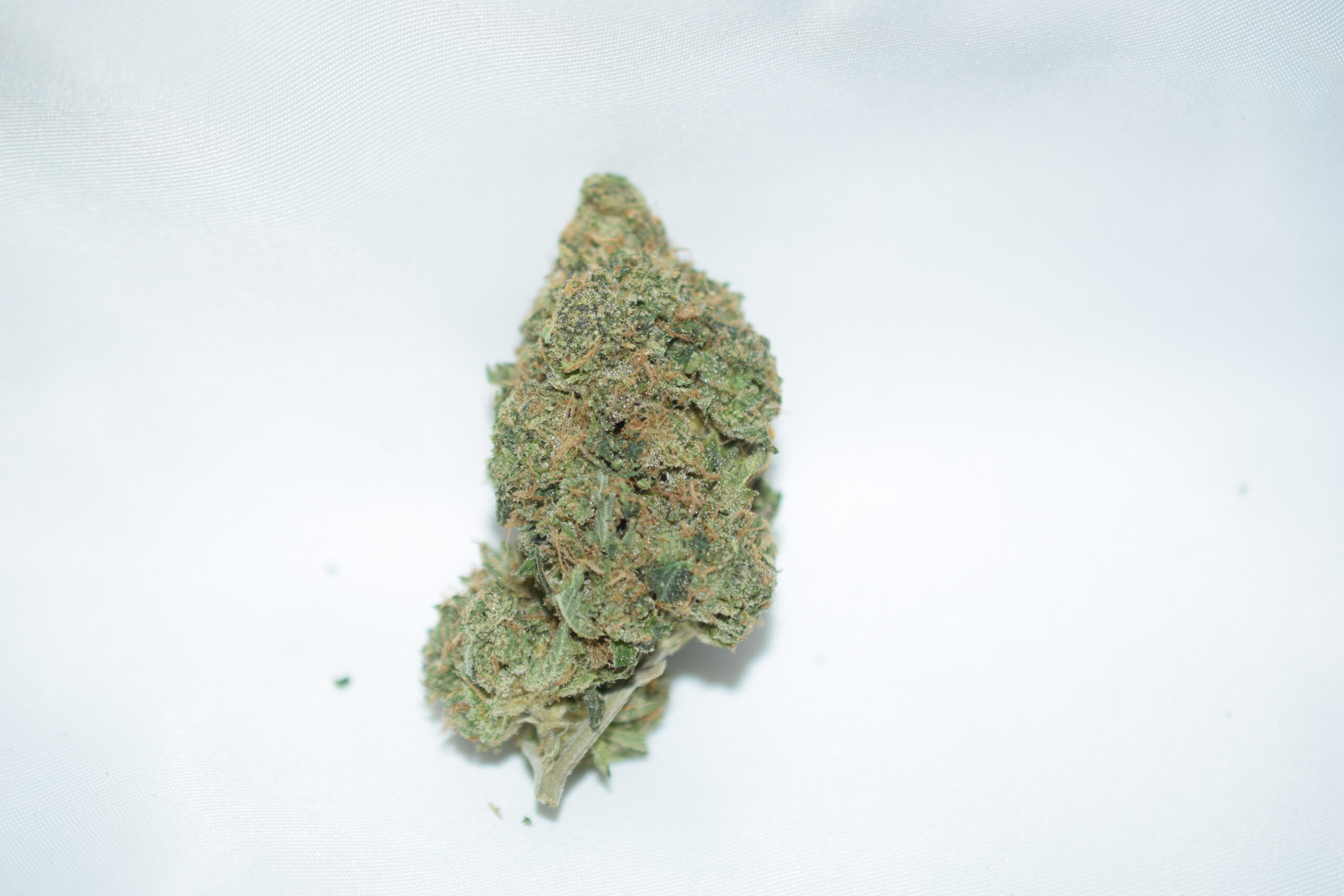 Purple Space Cookies Indica Dominant Hybrid AAA+