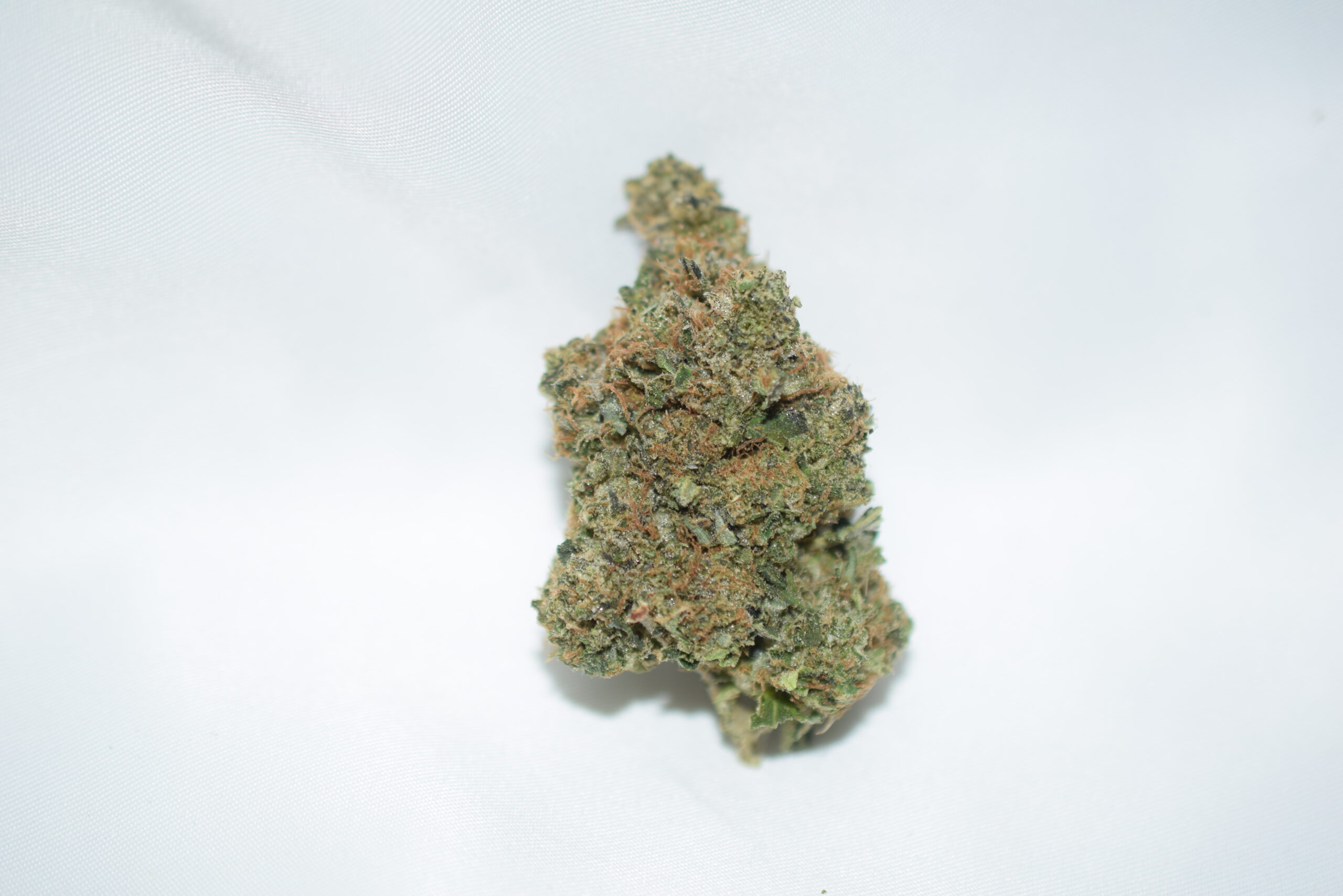 Purple Space Cookies Indica Dominant Hybrid AAA+