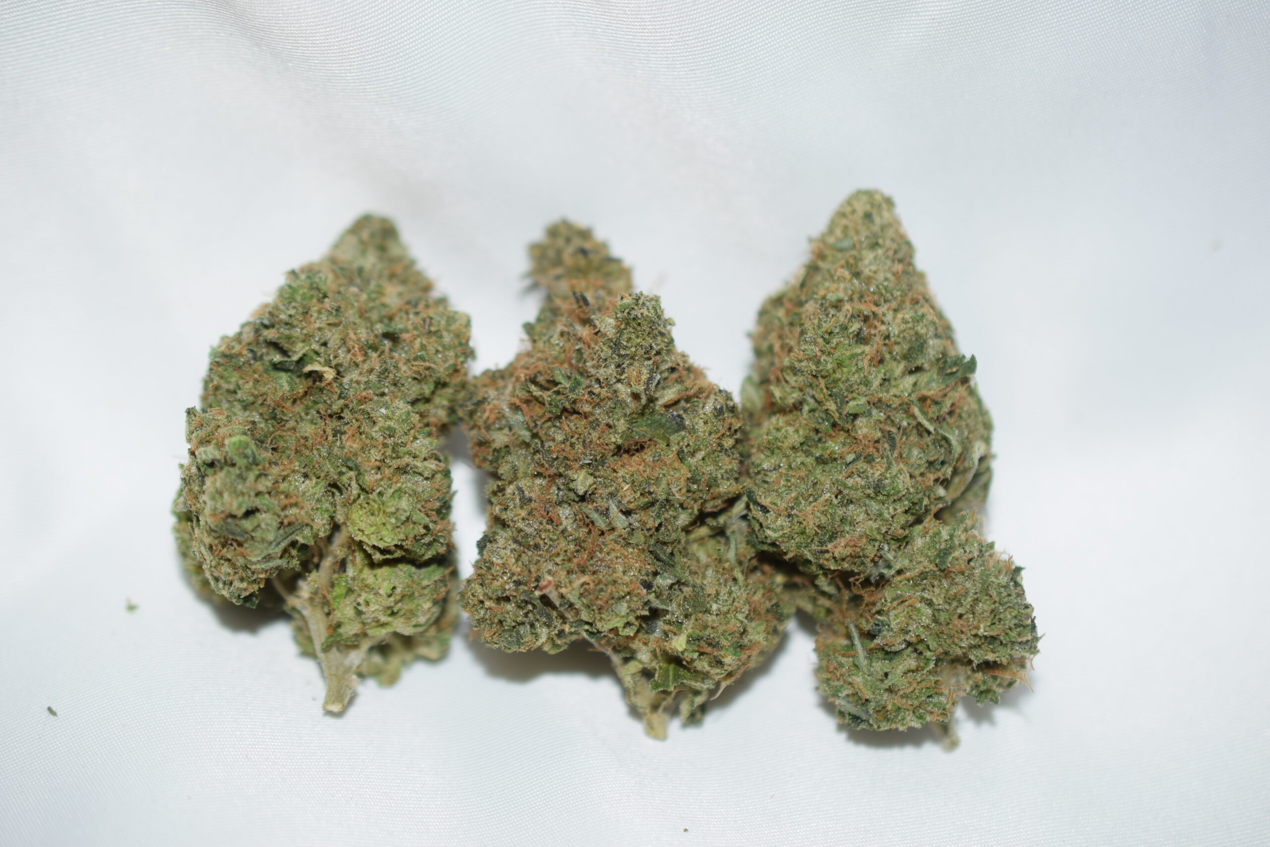 Purple Space Cookies Indica Dominant Hybrid AAA+