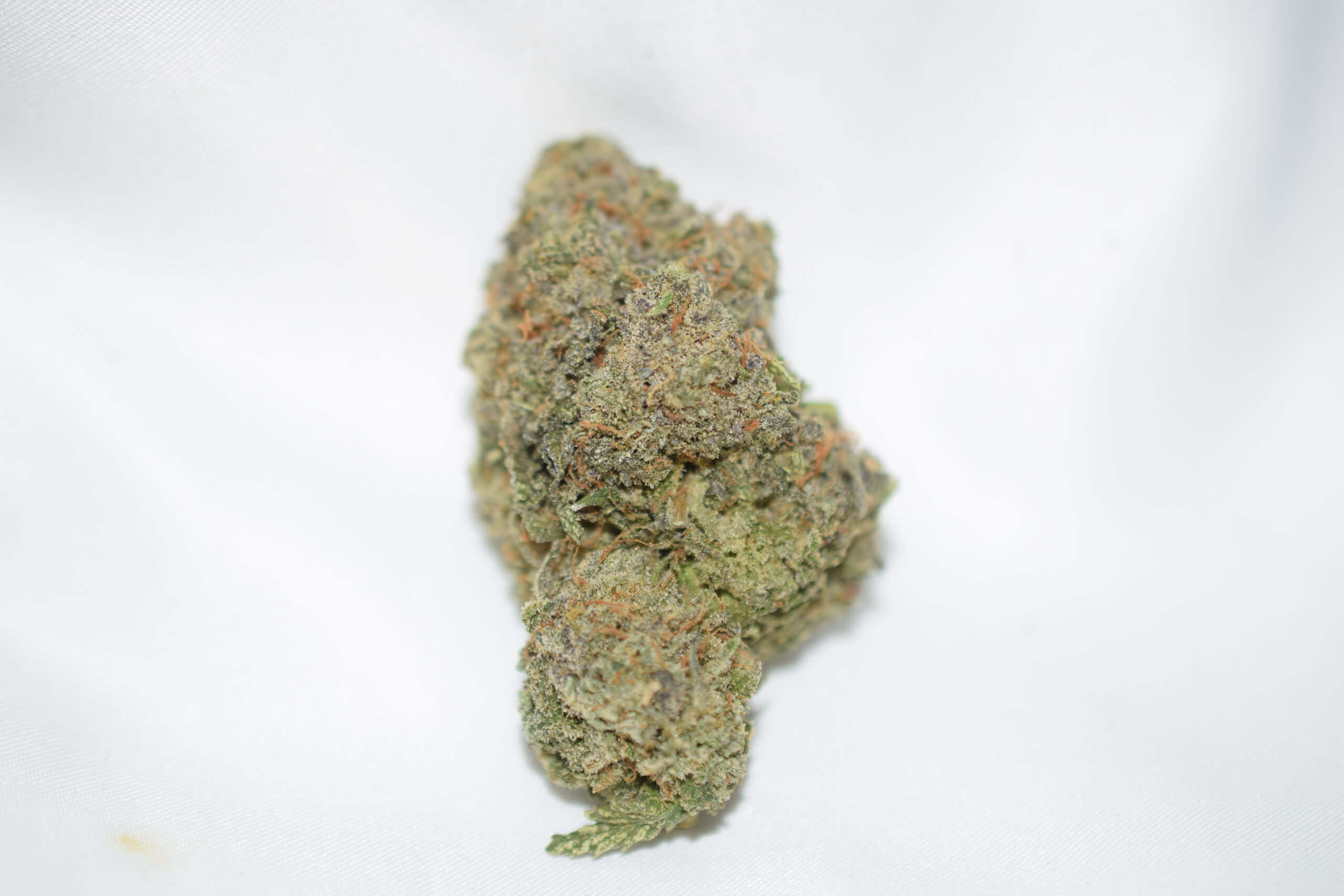 God's Gift Indica Dominant Hybrid AAA
