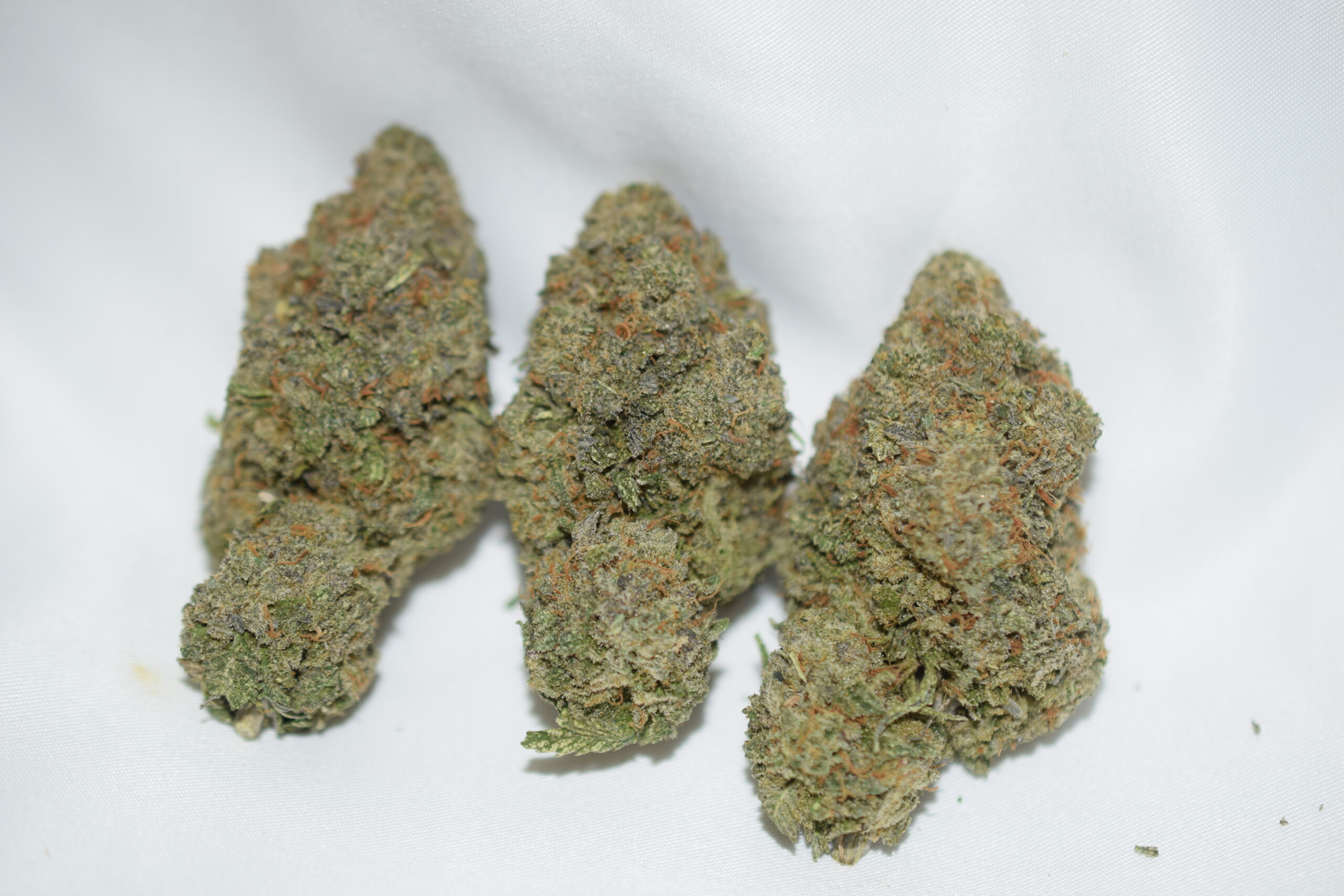 God's Gift Indica Dominant Hybrid AAA