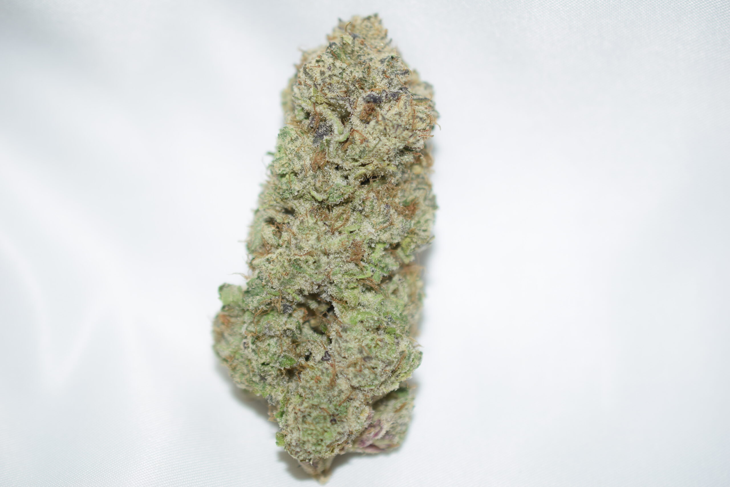 Laughing Buddha Sativa Dominant Hybrid AAAA+