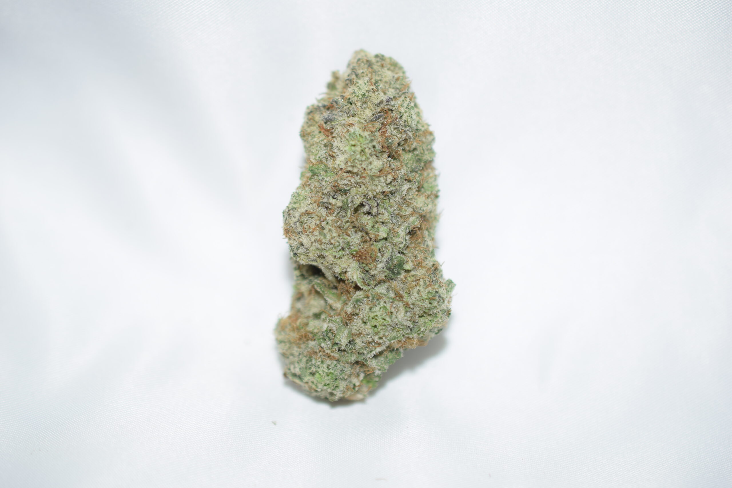 Laughing Buddha Sativa Dominant Hybrid AAAA+