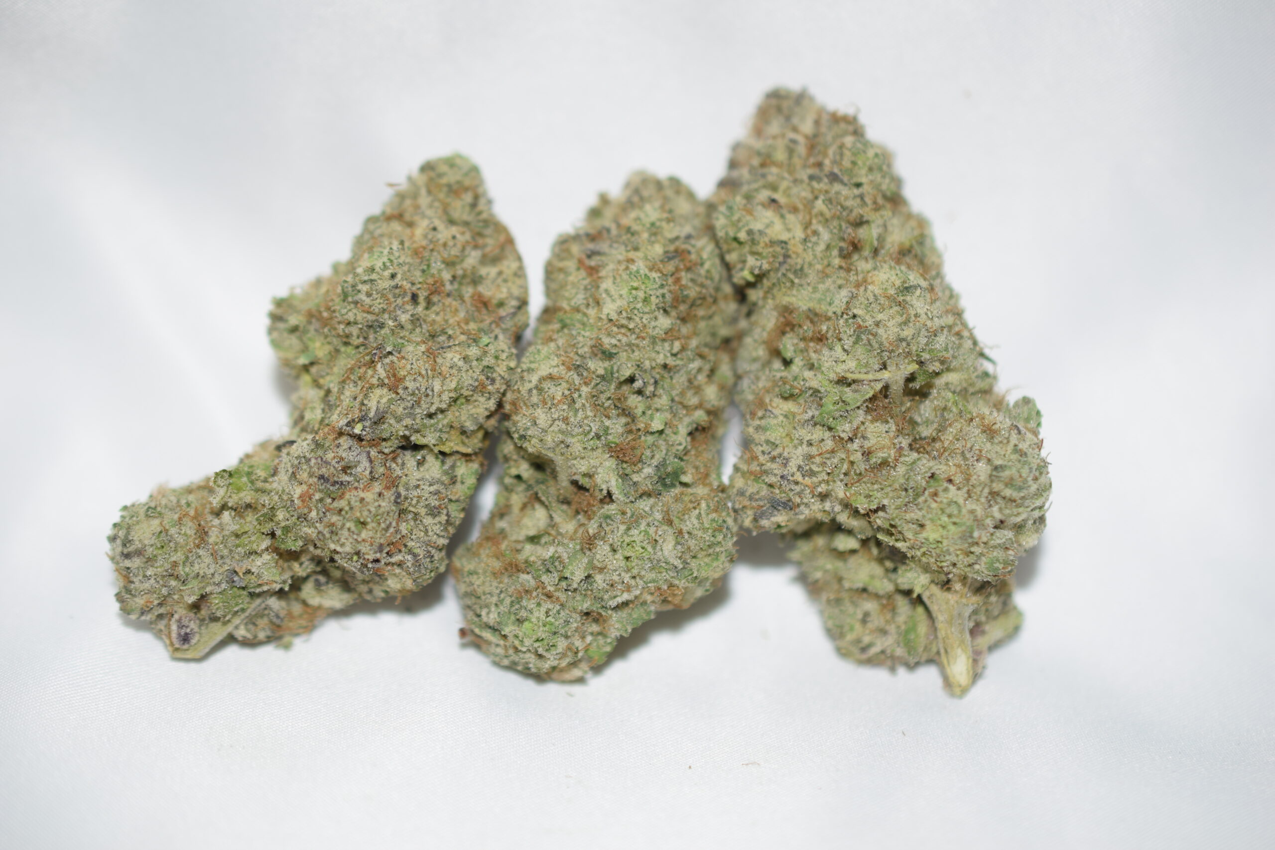 Laughing Buddha Sativa Dominant Hybrid AAAA+