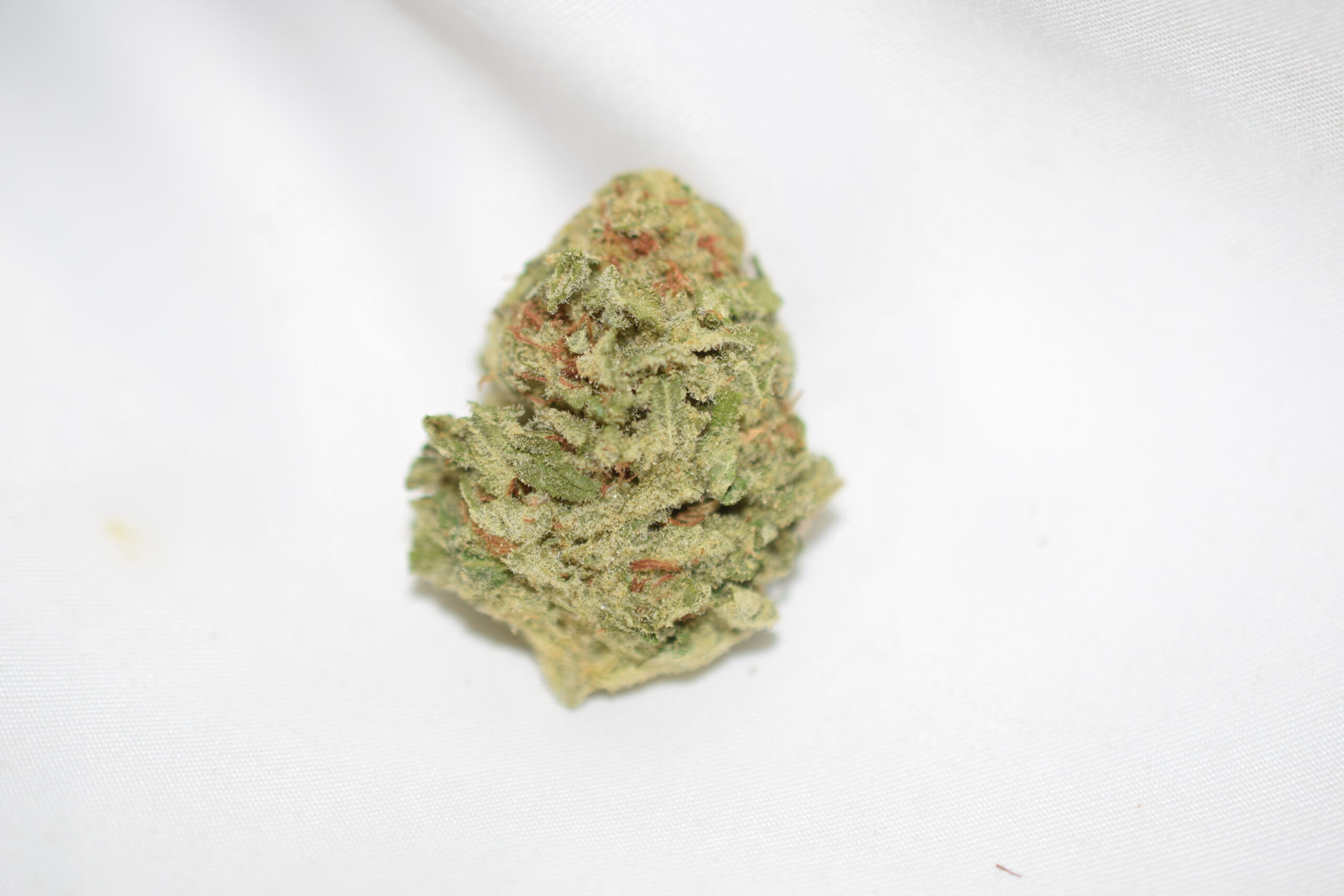 Lemon Drop Sativa Dominant Hybrid AAA