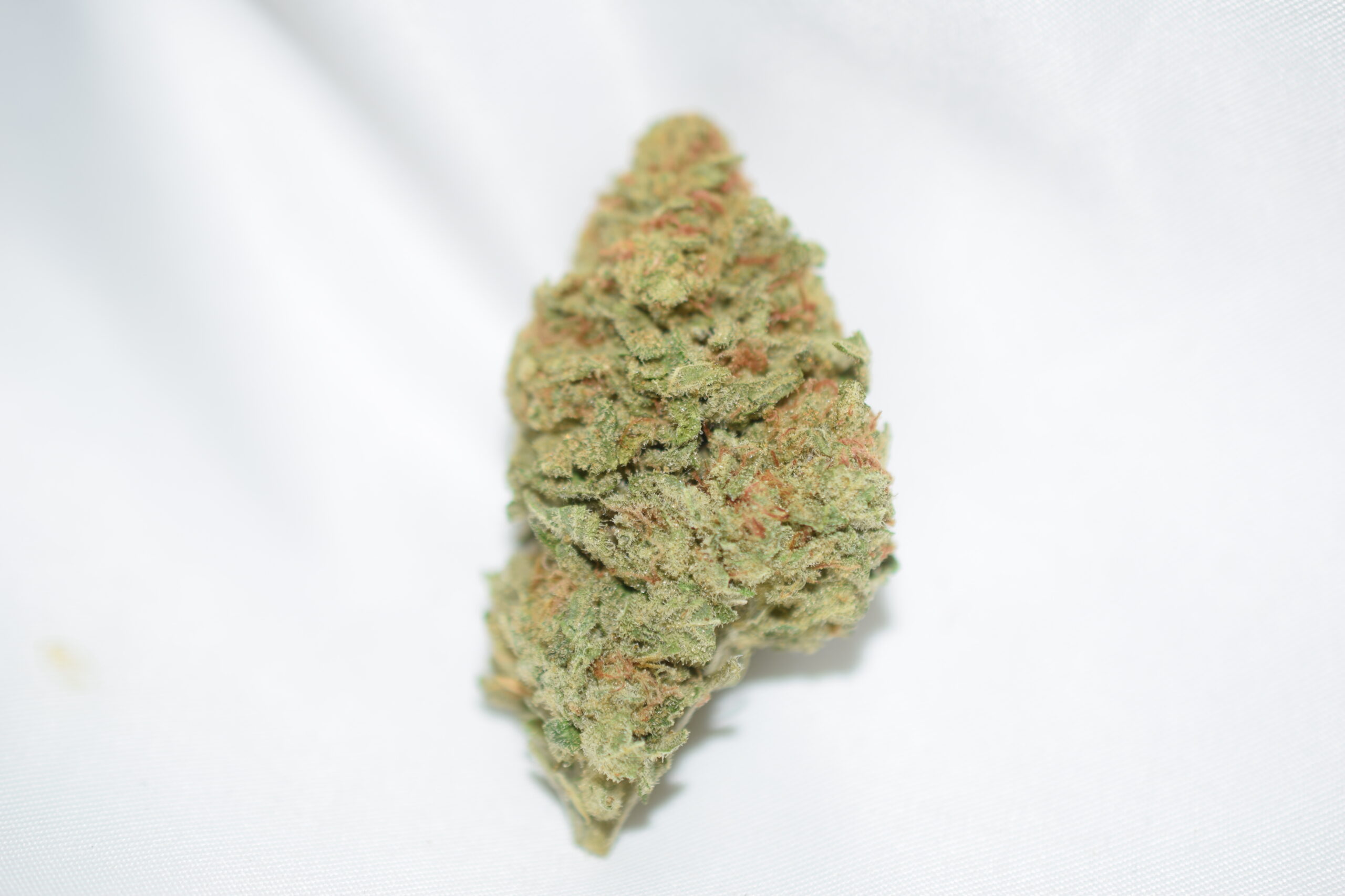 Lemon Drop Sativa Dominant Hybrid AAA