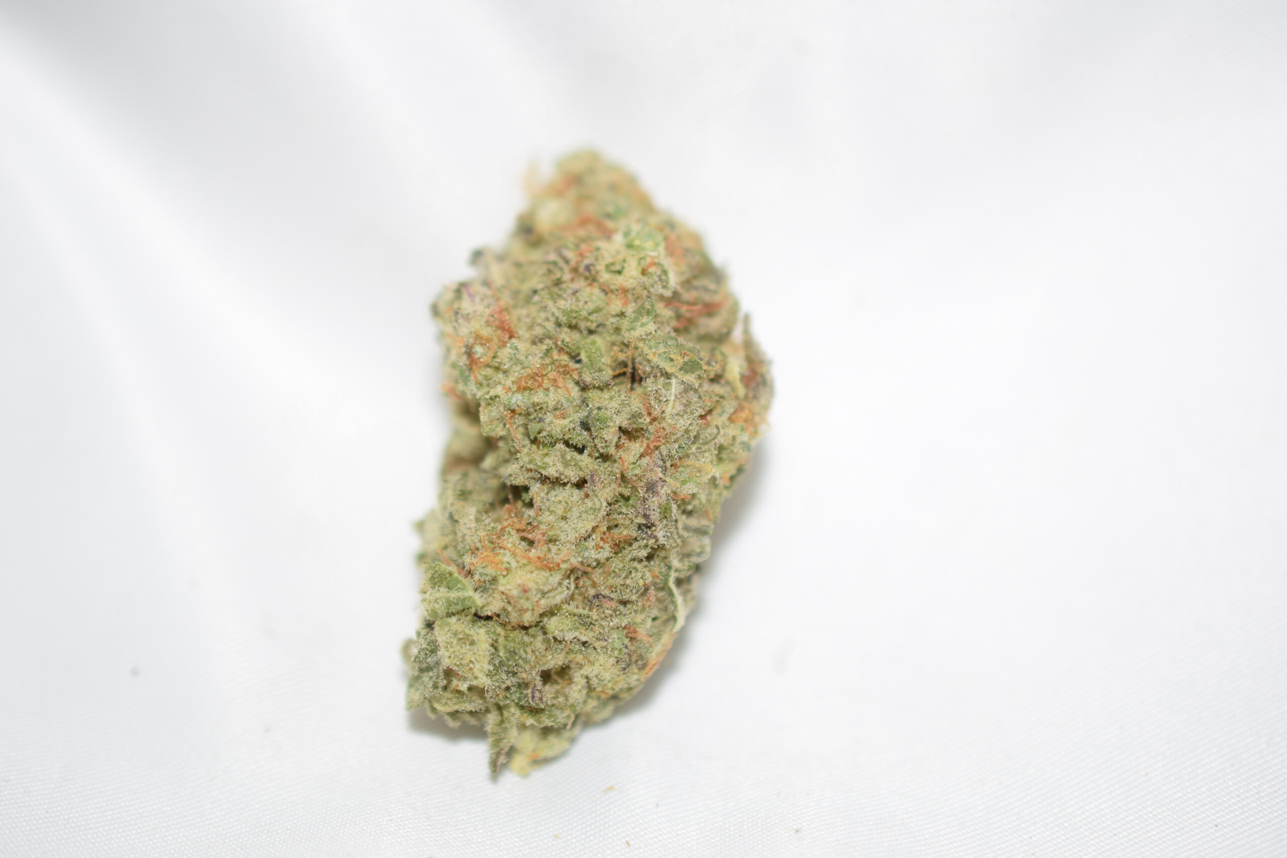 Lemon Drop Sativa Dominant Hybrid AAA