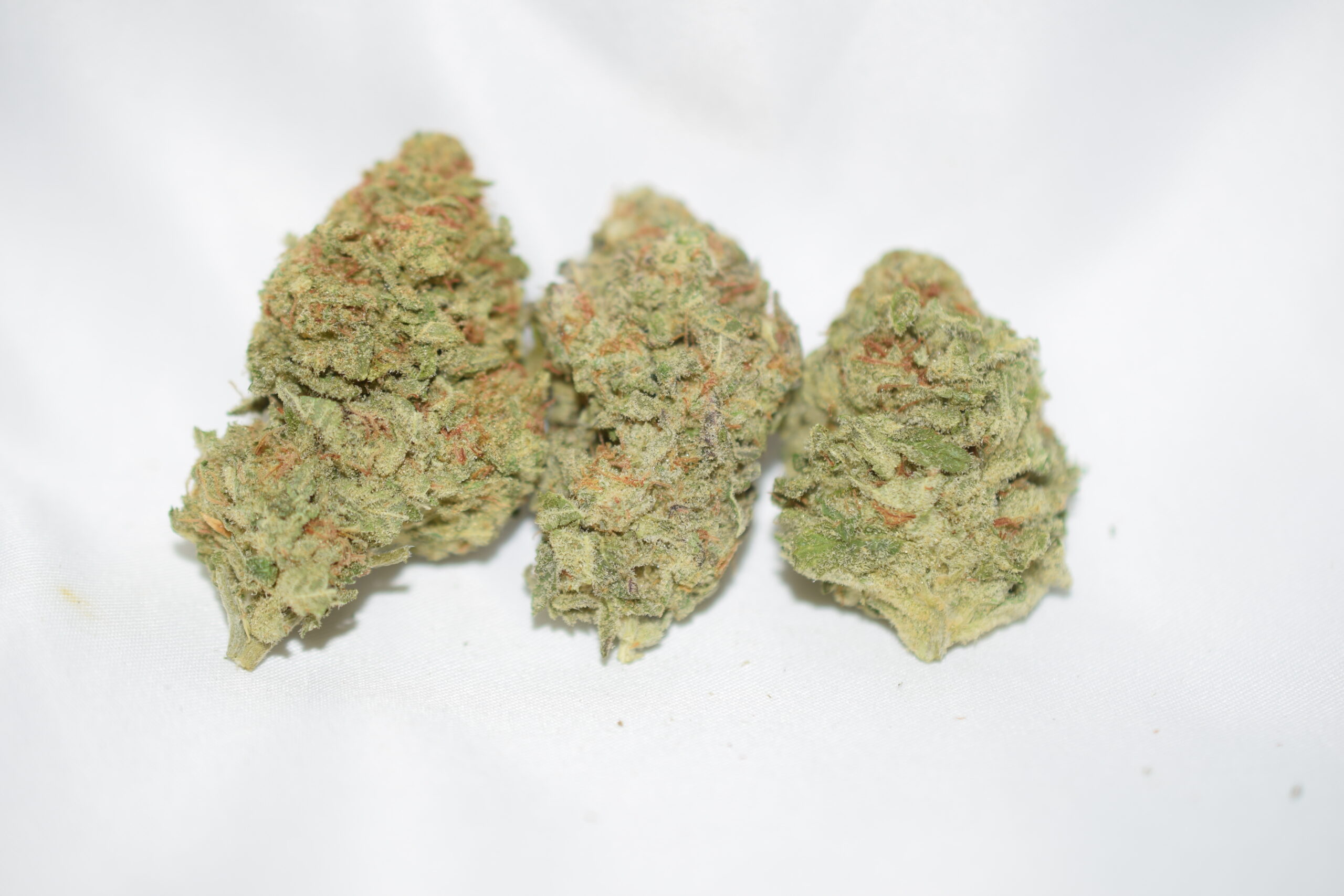Lemon Drop Sativa Dominant Hybrid AAA