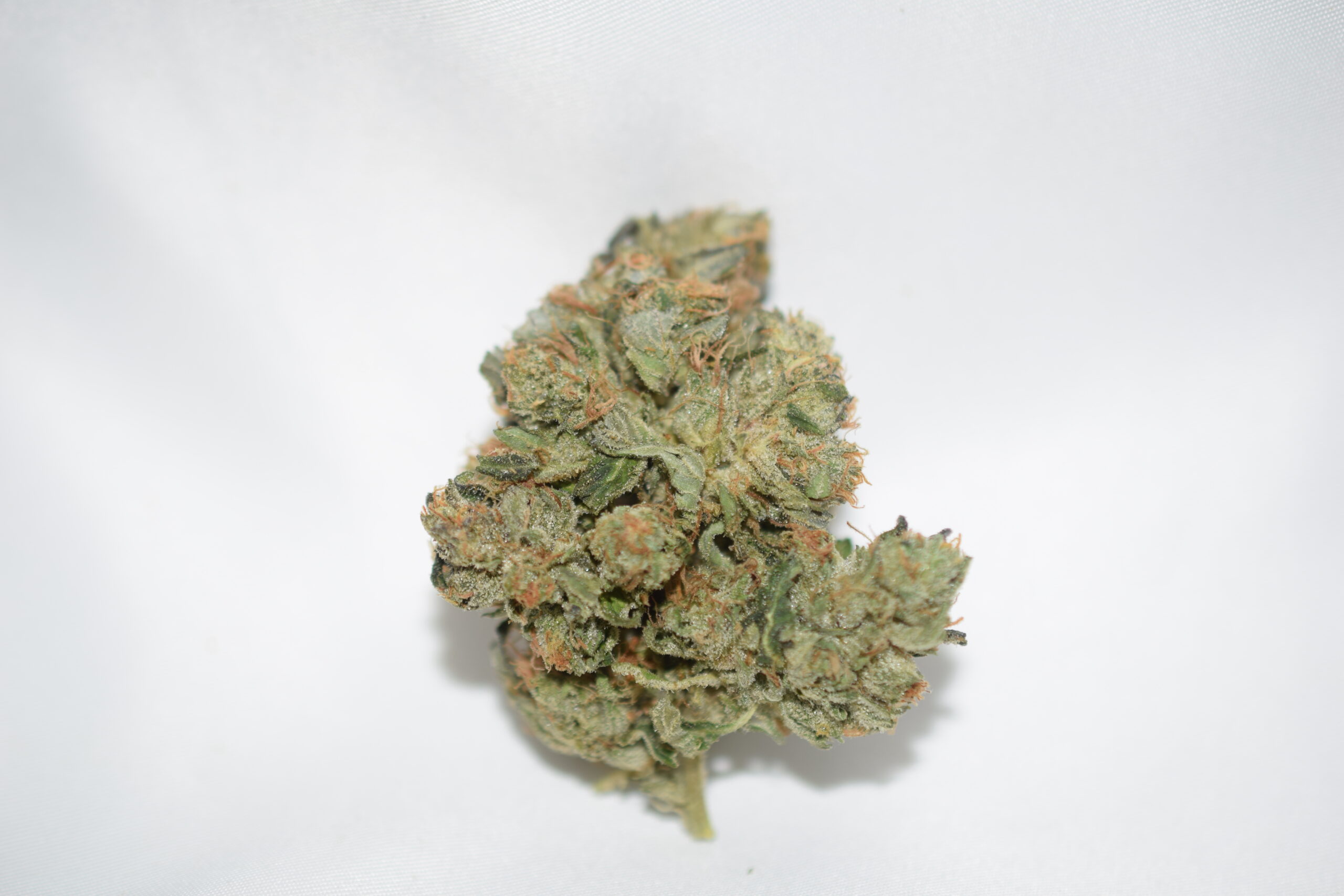 Pink Champagne Indica Dominant Hybrid AAA