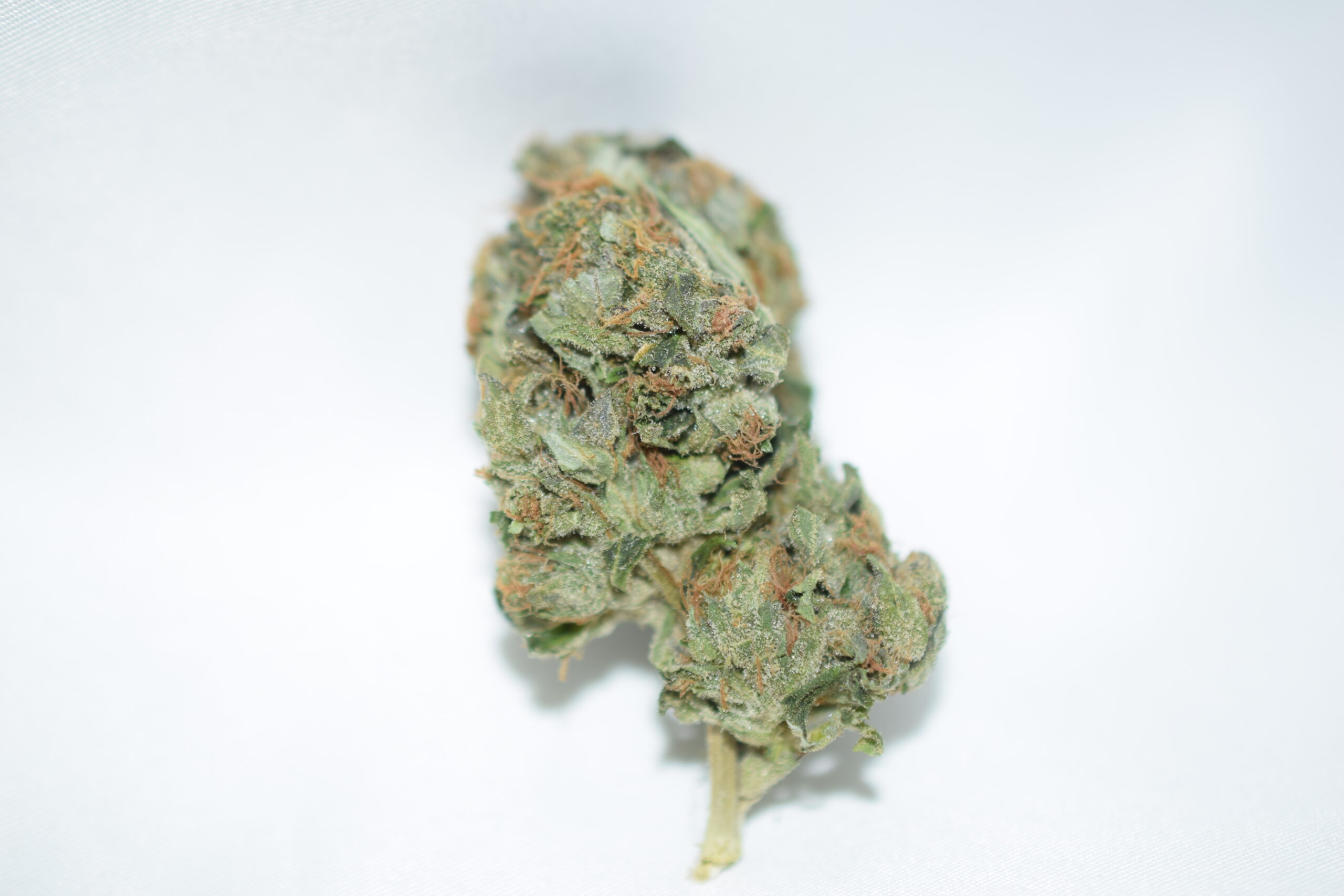 Pink Champagne Indica Dominant Hybrid AAA