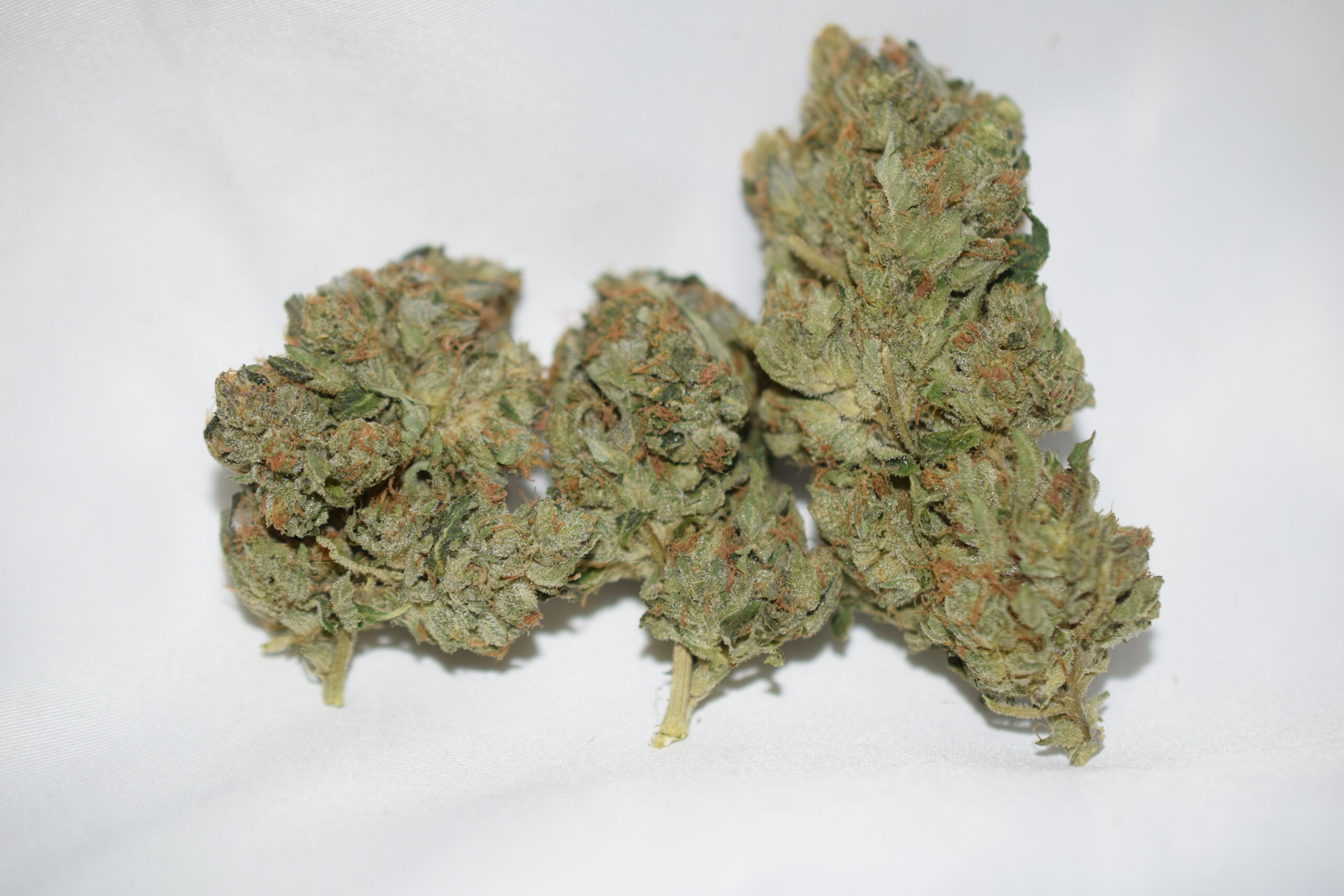 Pink Champagne Indica Dominant Hybrid AAA