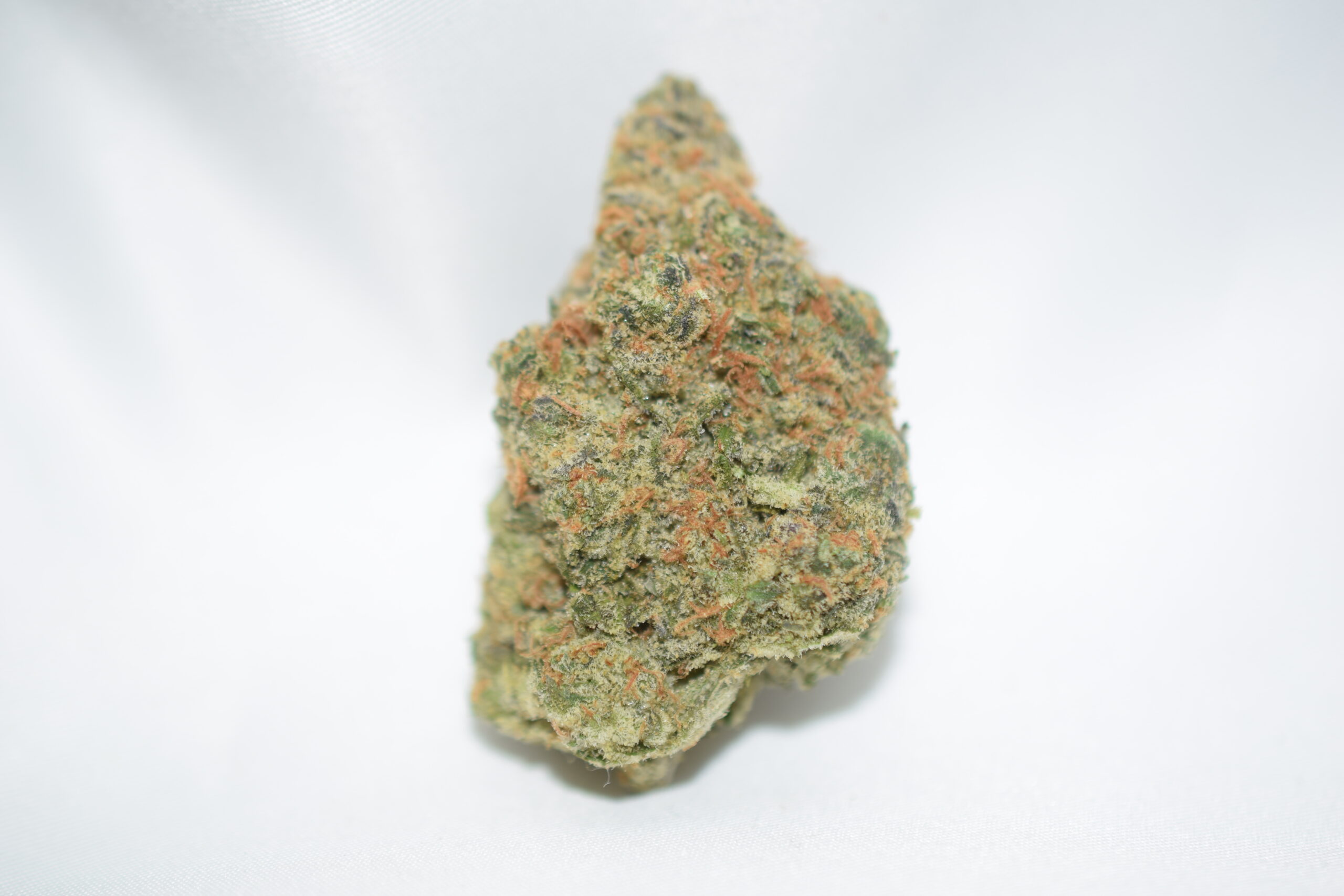 Purple Haze Sativa Dominant Hybrid AAA